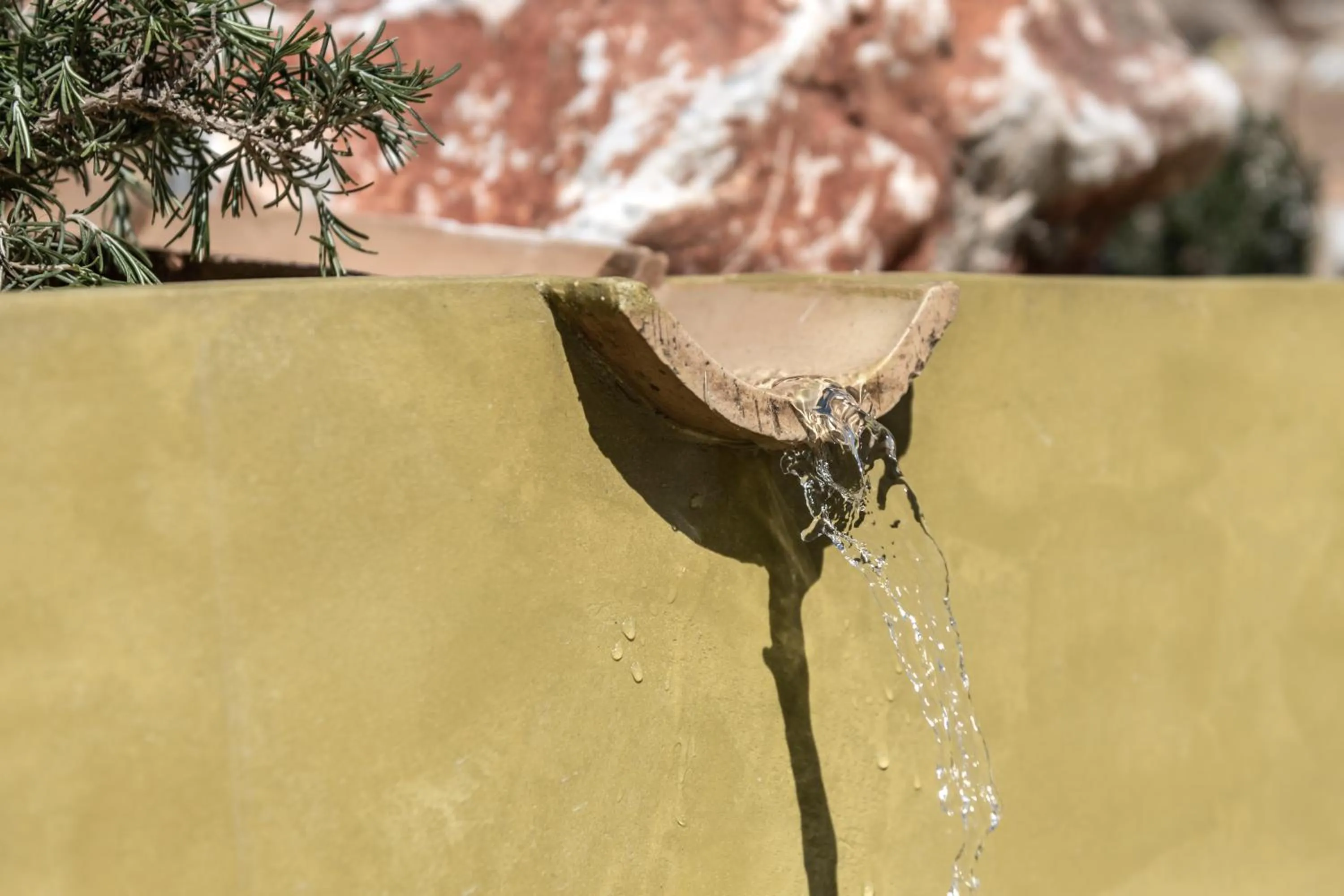 Property building in The Olive Yard