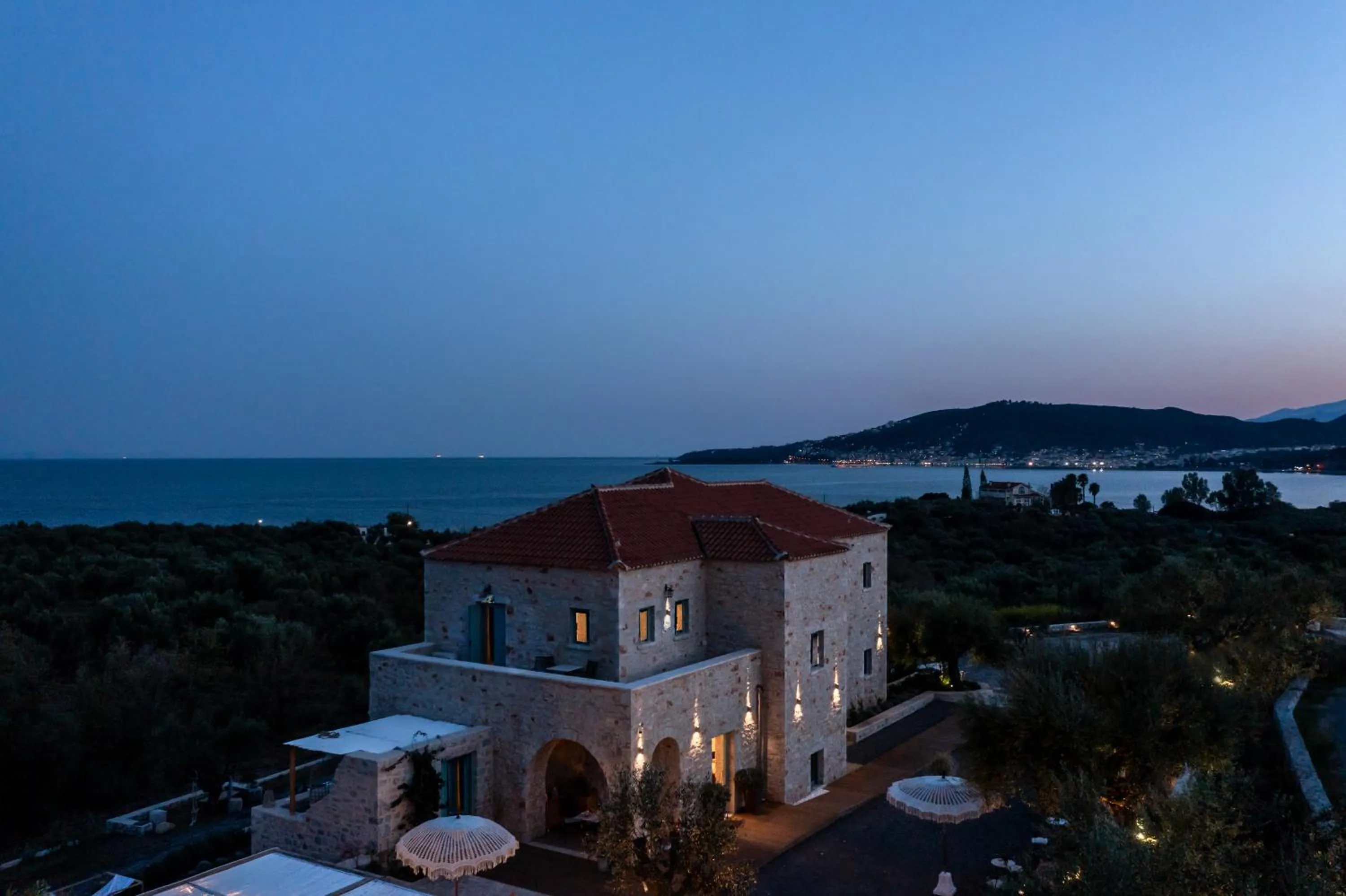 Bird's eye view in The Olive Yard
