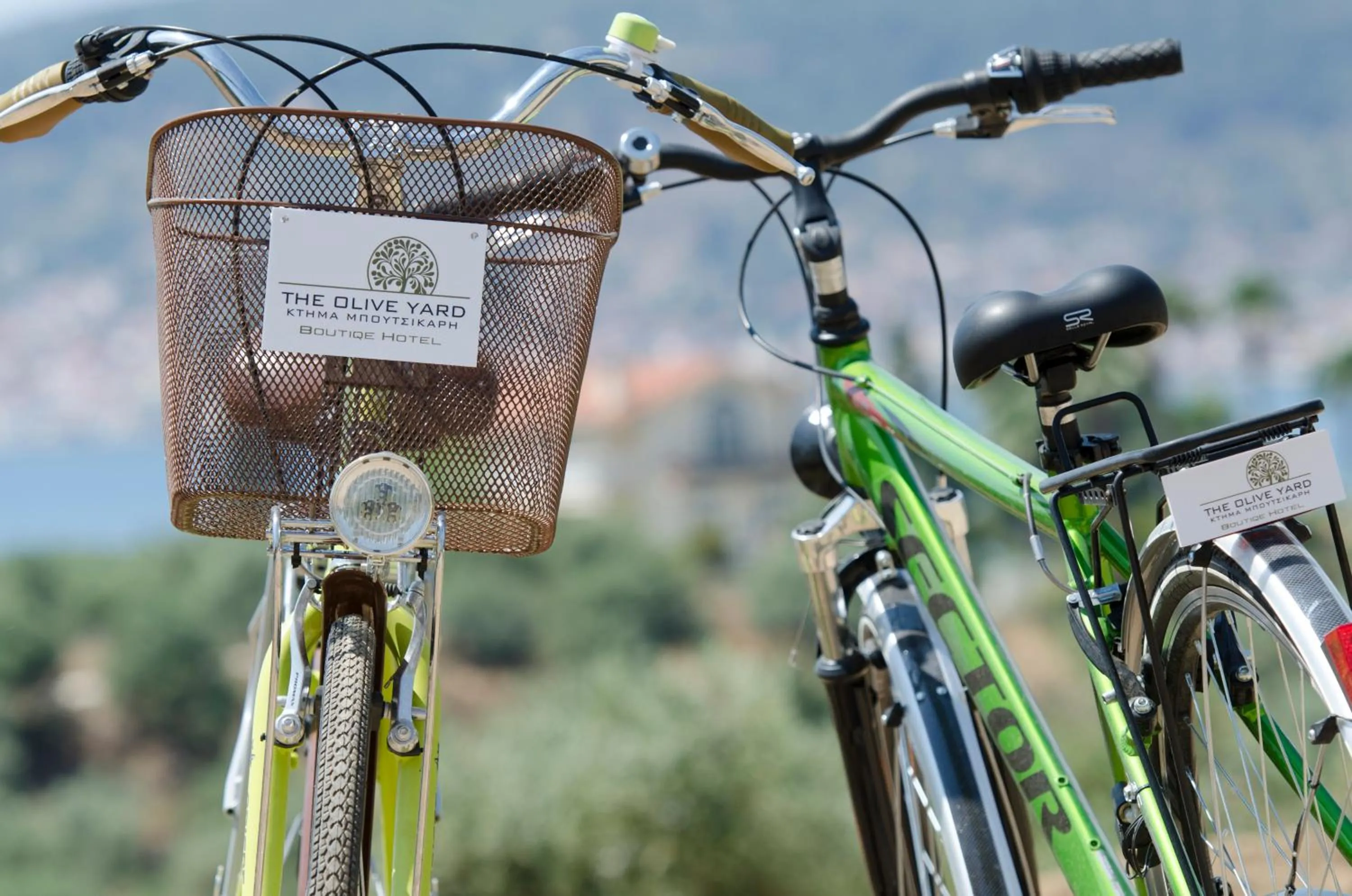 Cycling in The Olive Yard