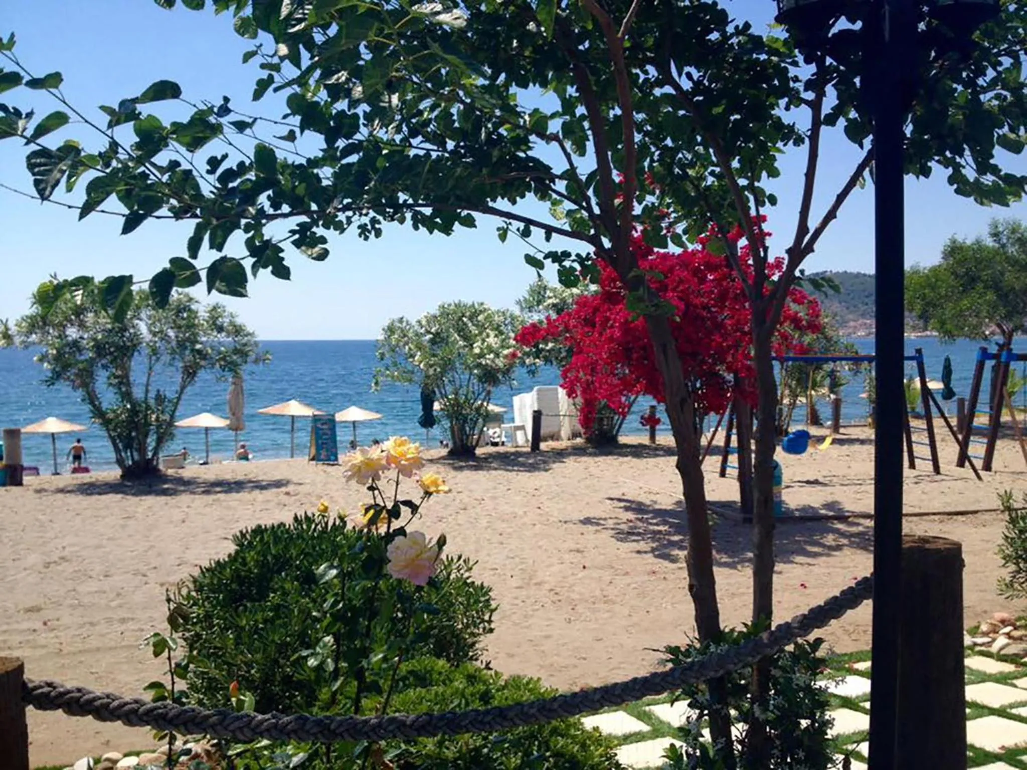 Beach in The Olive Yard