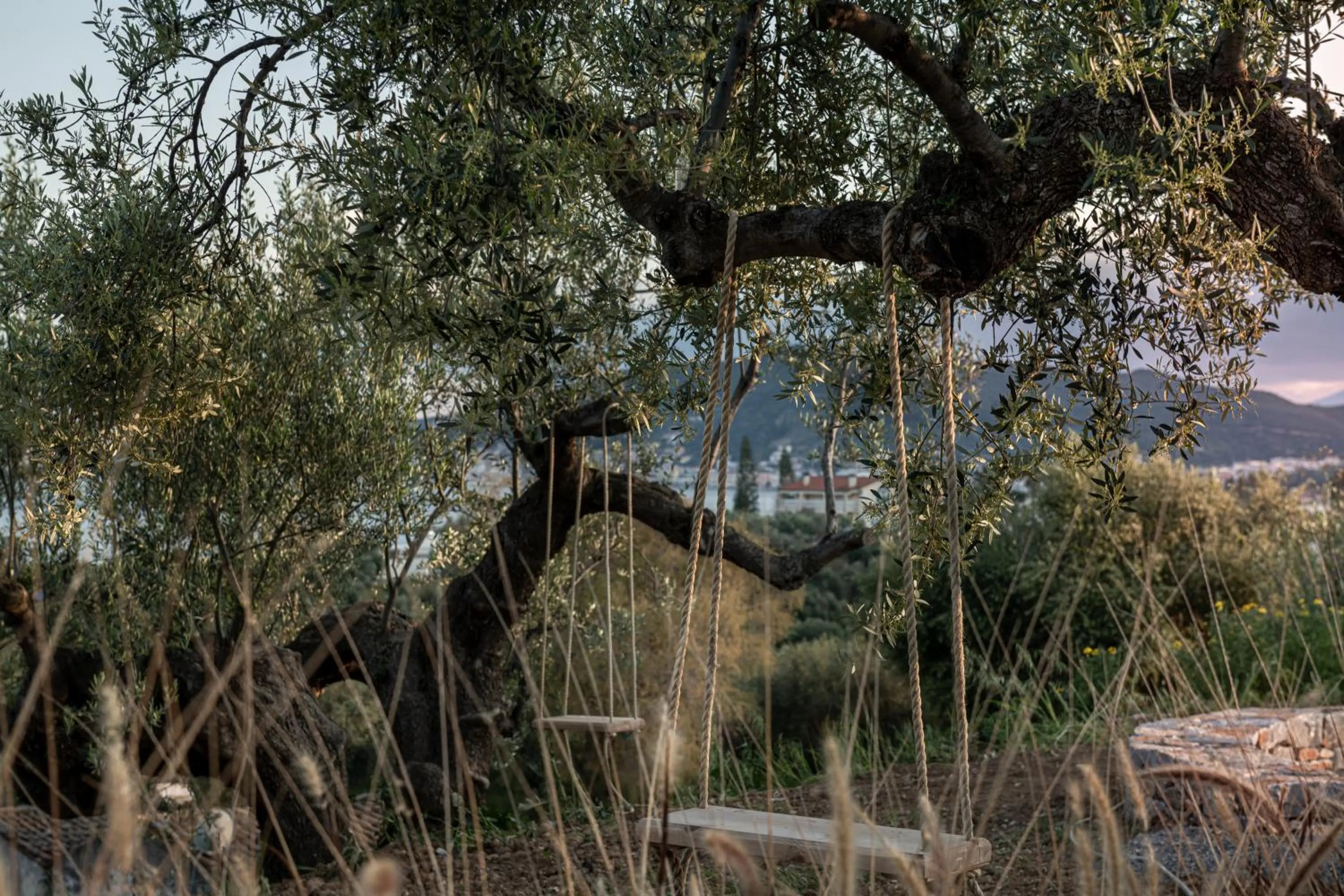 Location in The Olive Yard