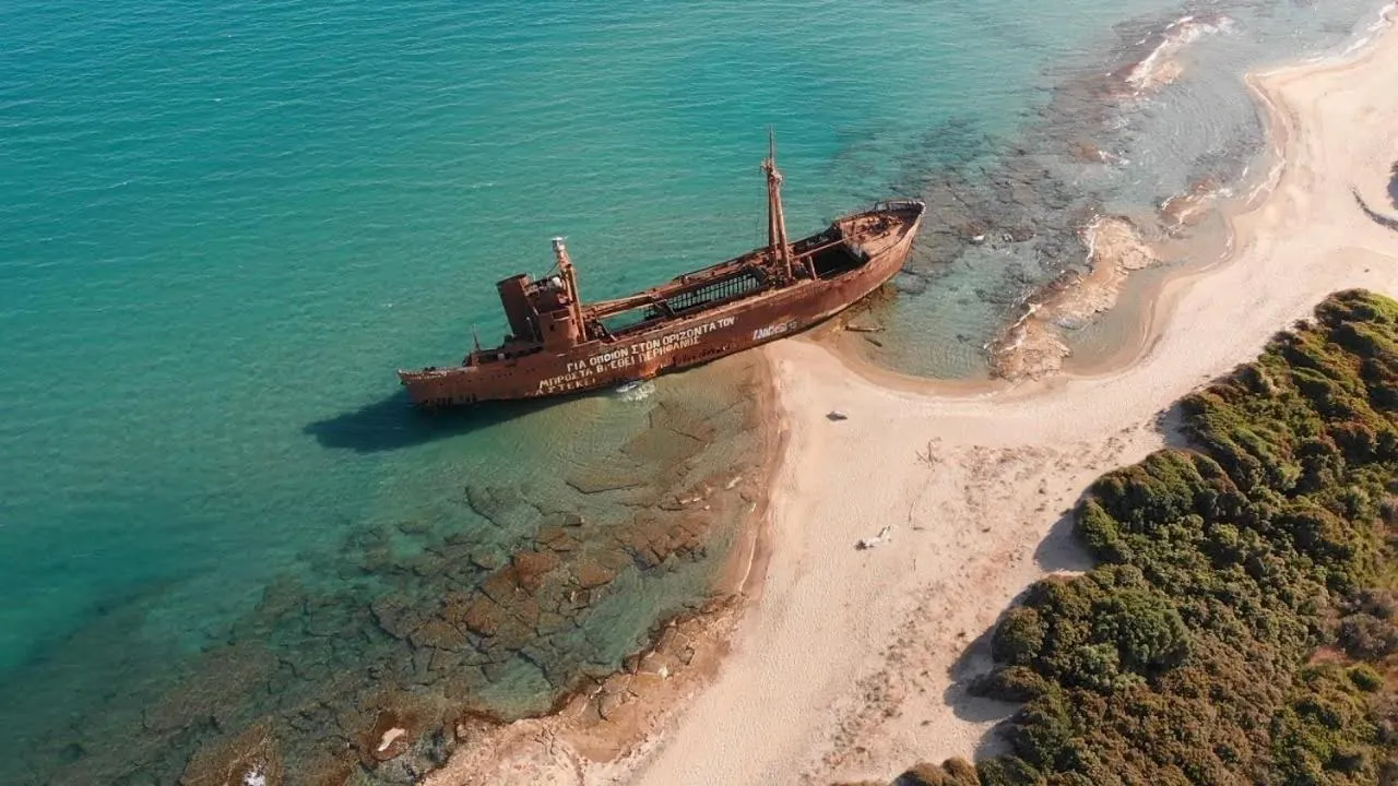Neighbourhood in The Olive Yard