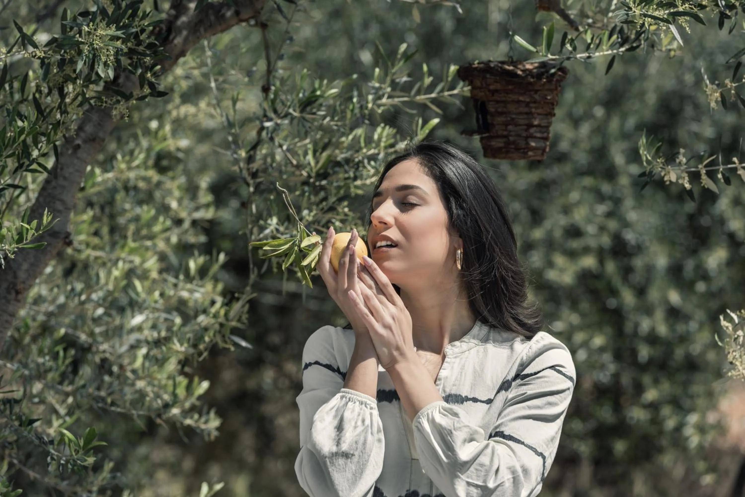 Property building in The Olive Yard