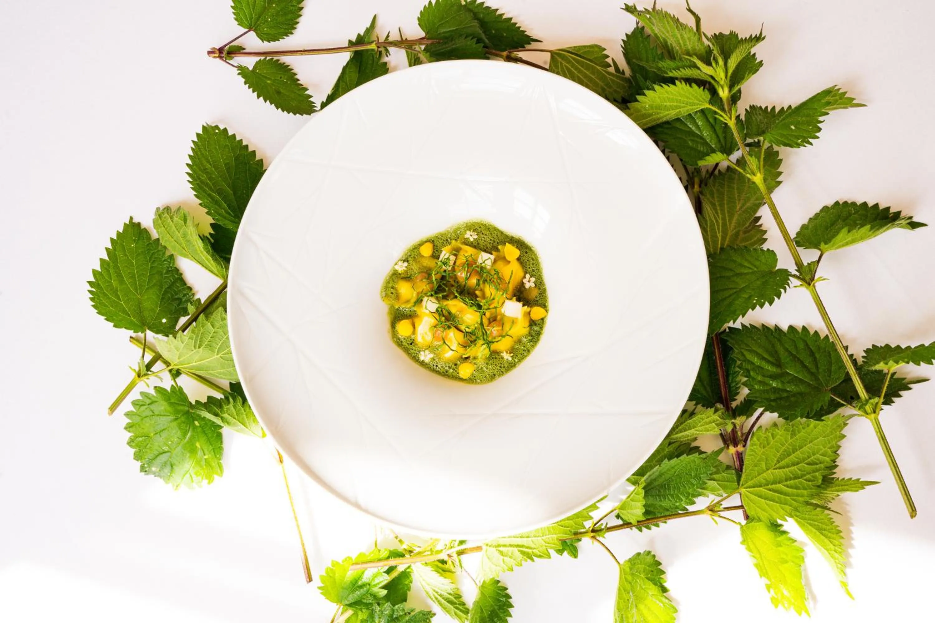 Restaurant/places to eat in Château De Noirieux