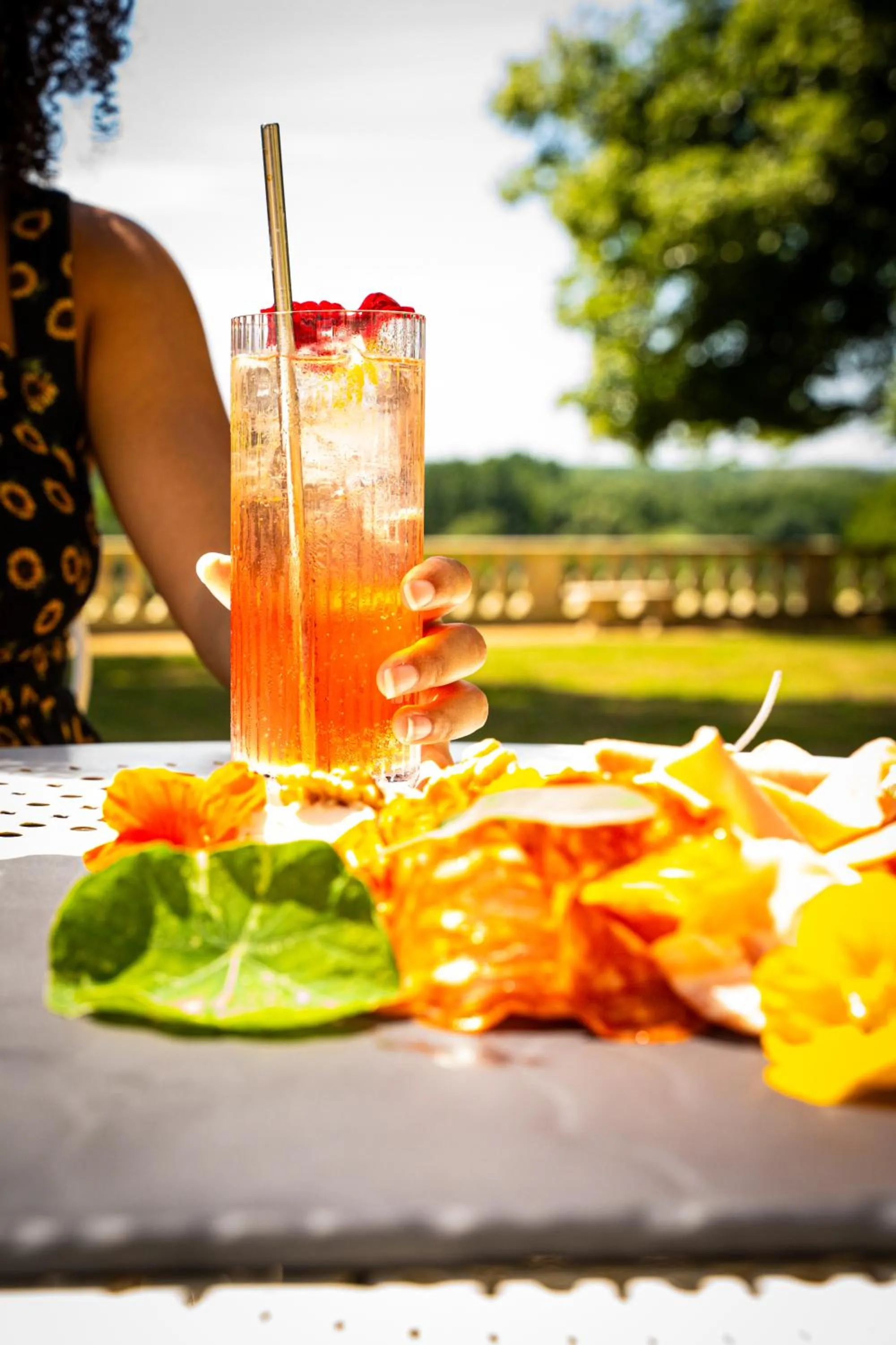 Lounge or bar in Château De Noirieux