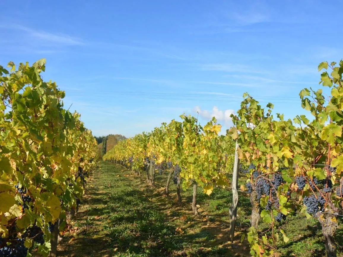 Other in La Pénesais