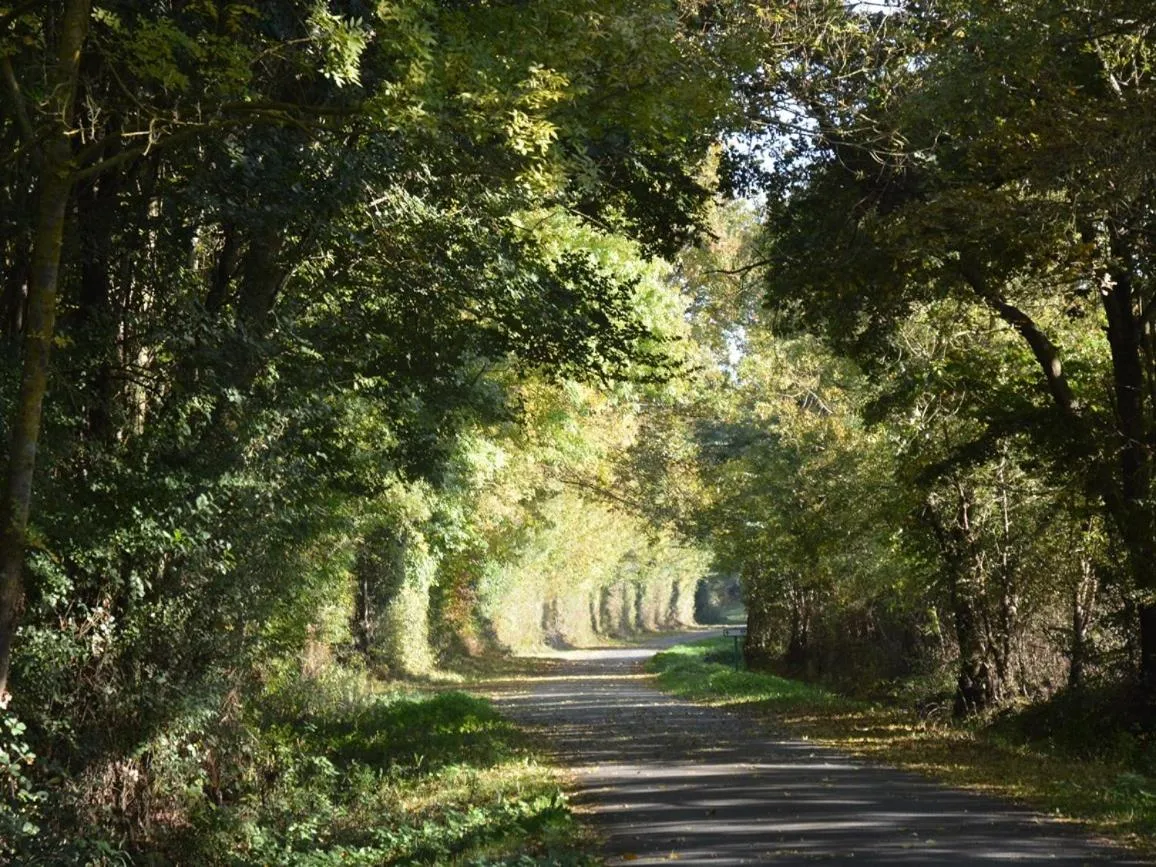 Other in La Pénesais