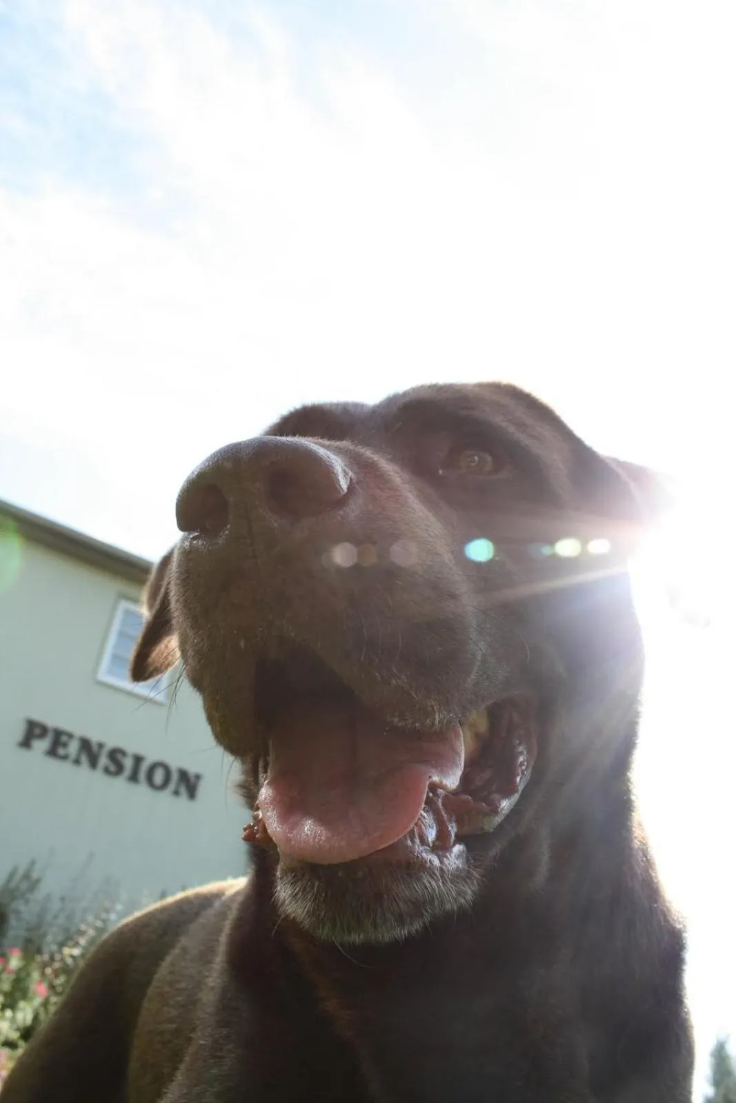 Other in Landhauspension Rank