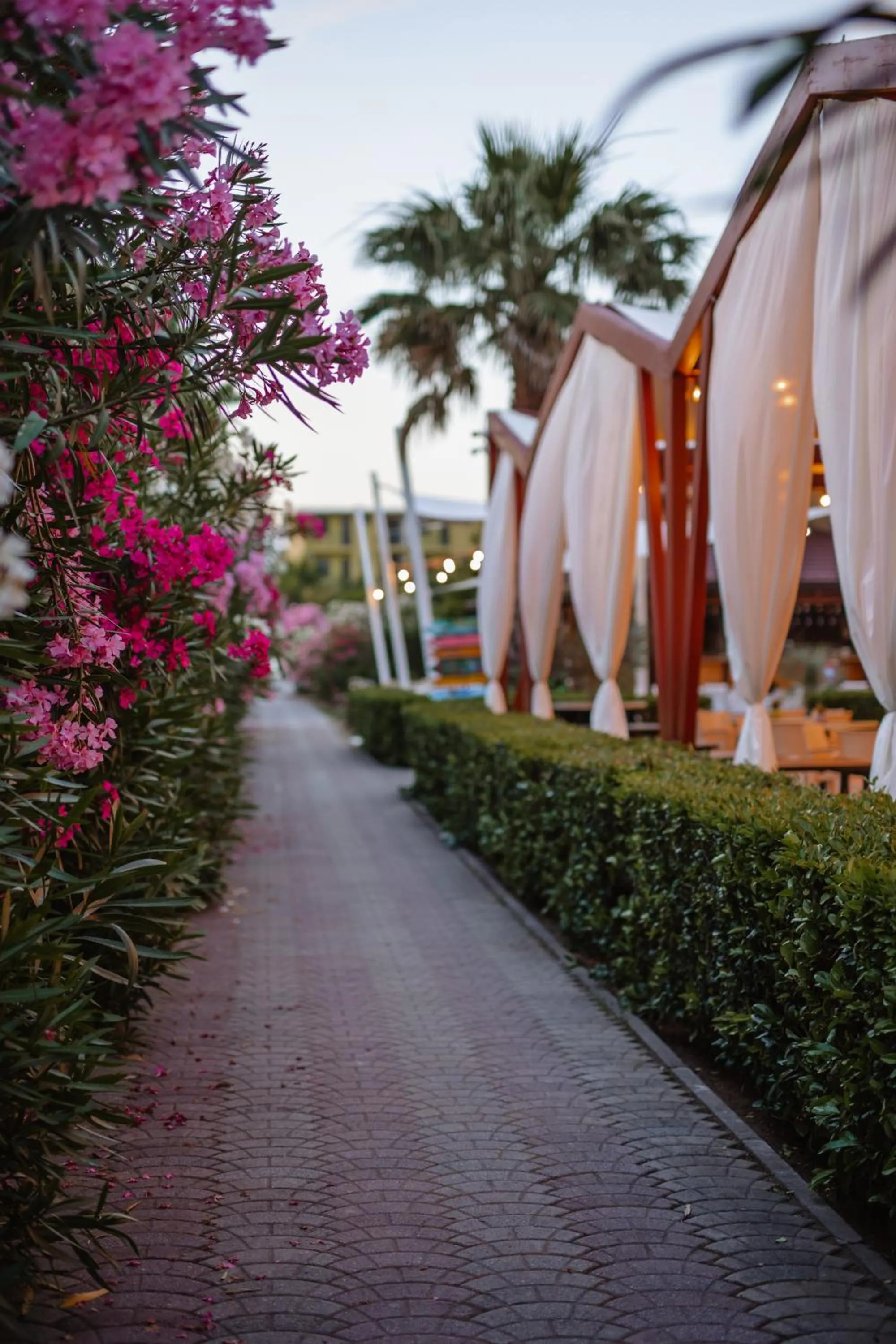 Godija Hotel & Suites