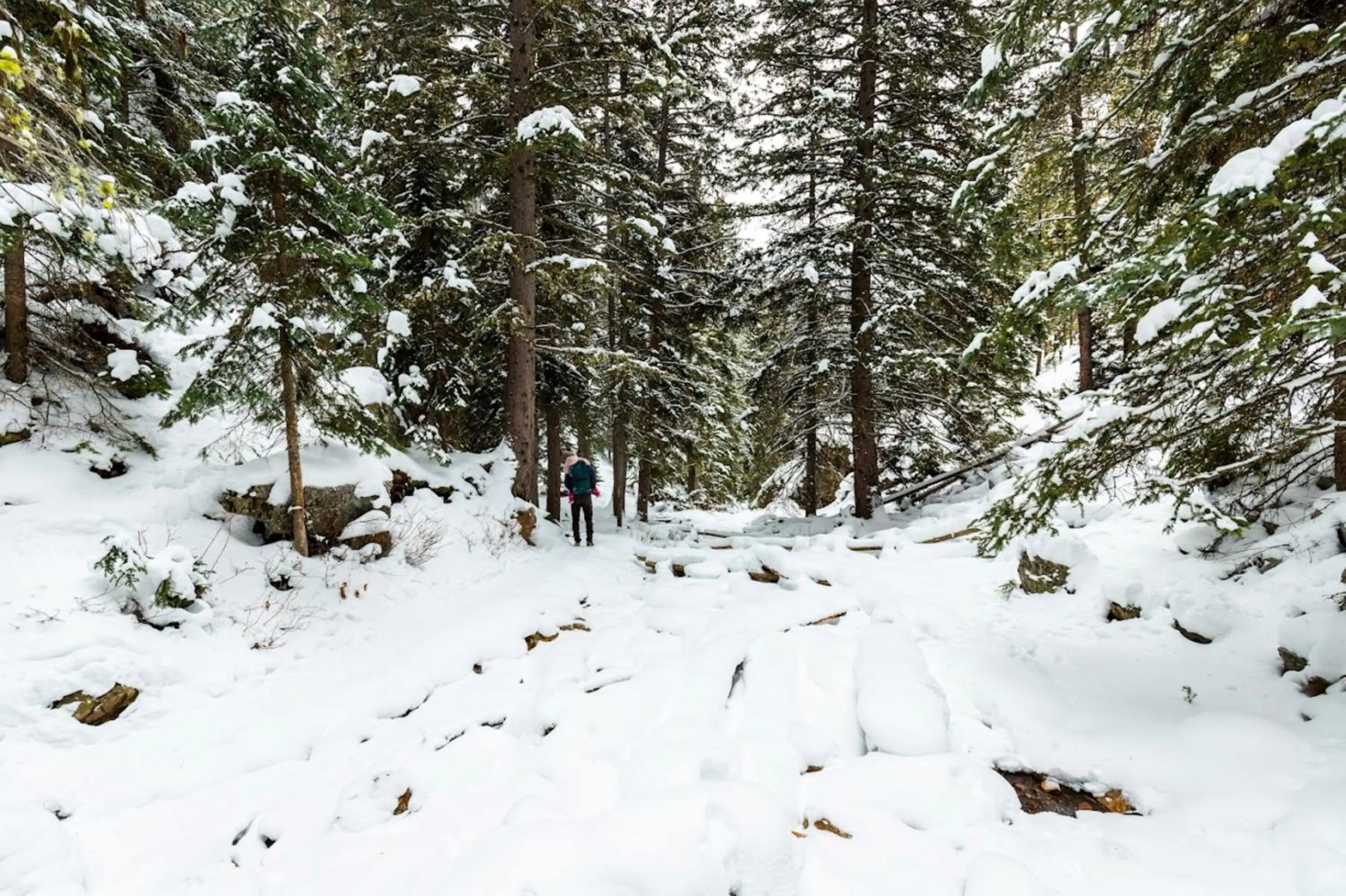 Area and facilities in Staybridge Suites Great Falls by IHG