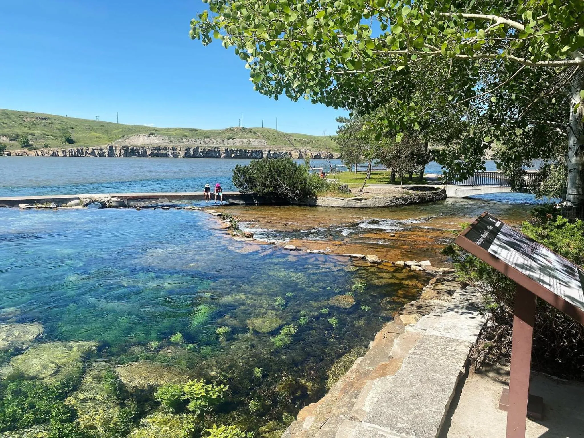 Area and facilities in Staybridge Suites Great Falls by IHG