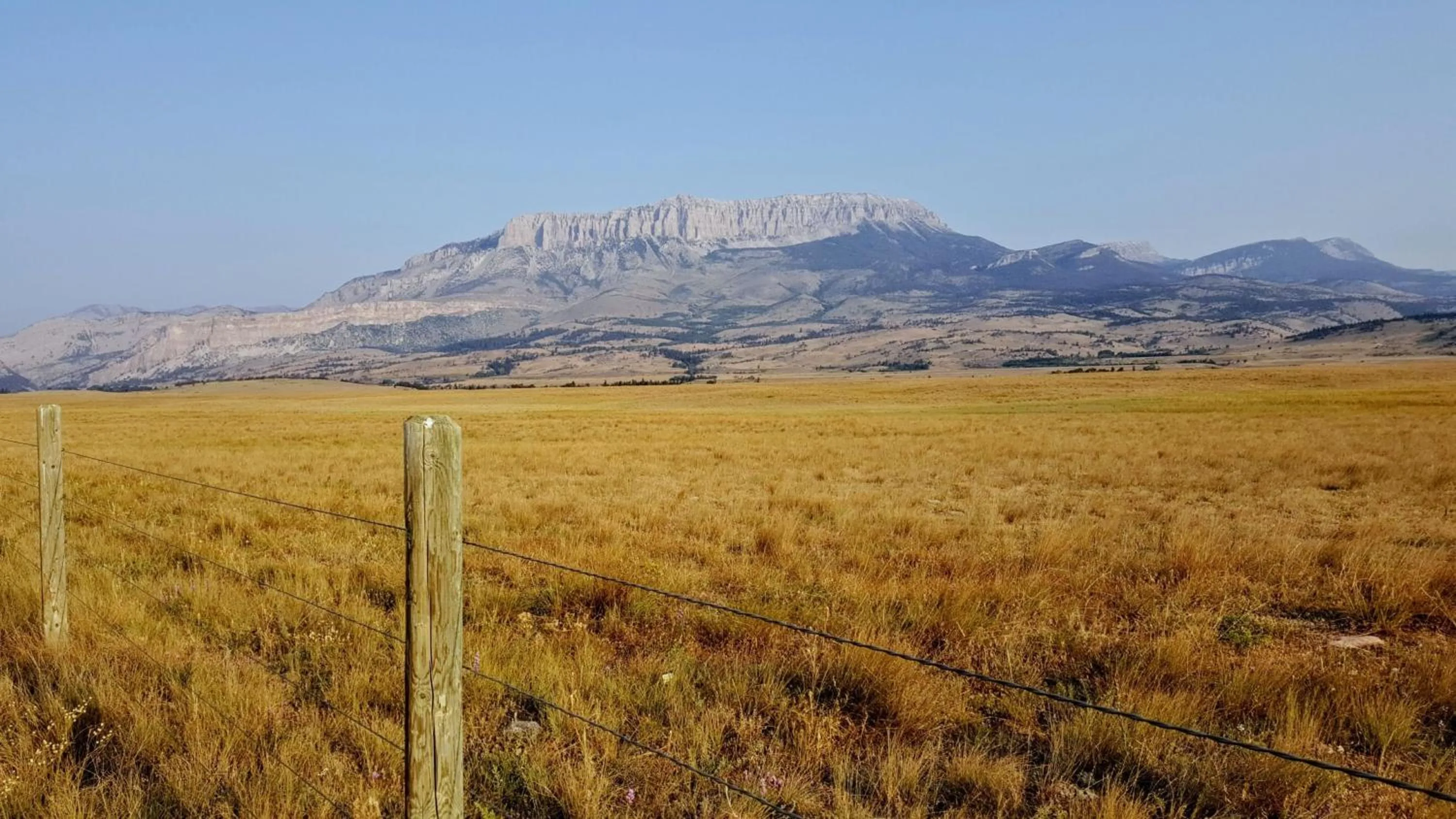 Area and facilities in Staybridge Suites Great Falls by IHG