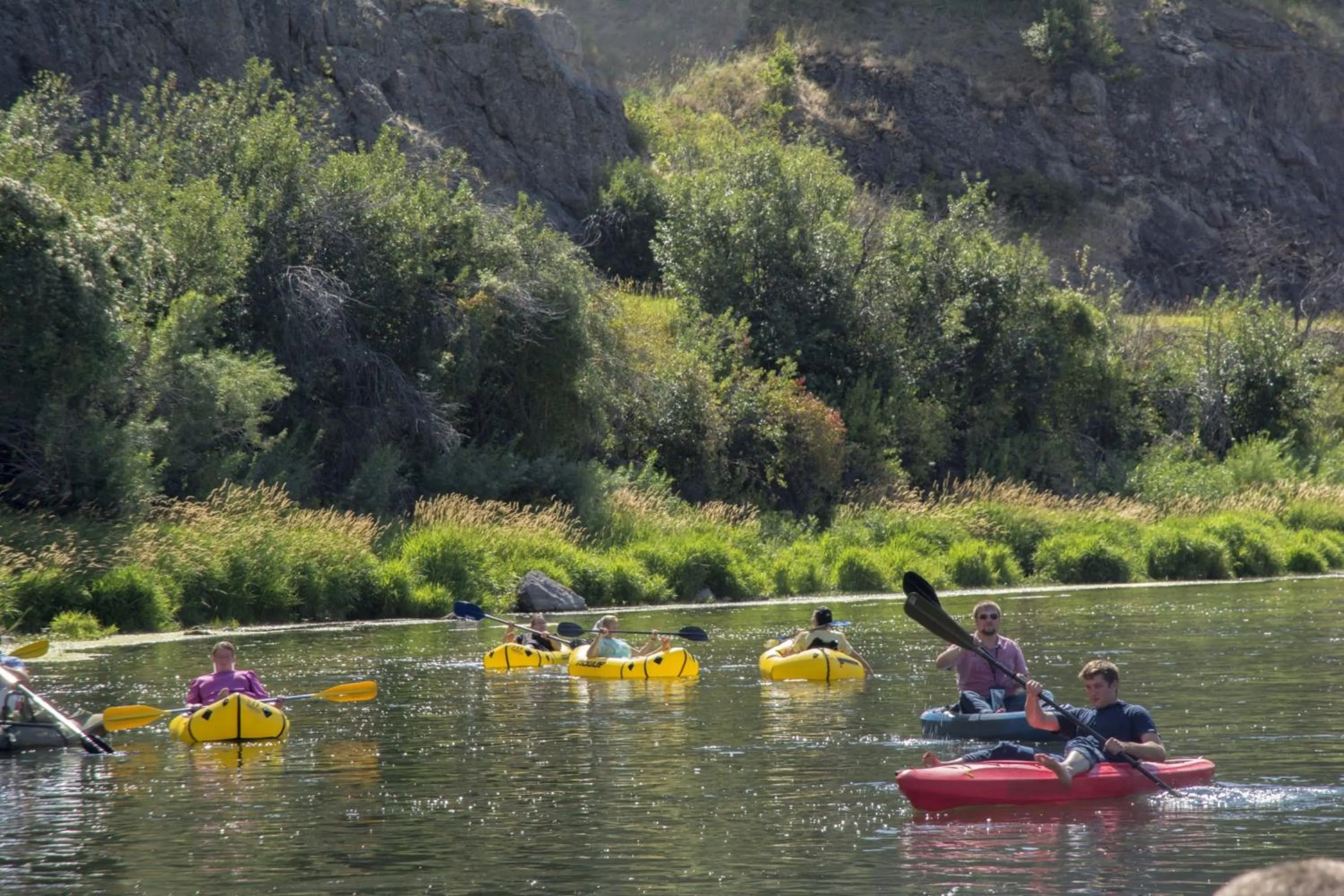 Area and facilities in Staybridge Suites Great Falls by IHG