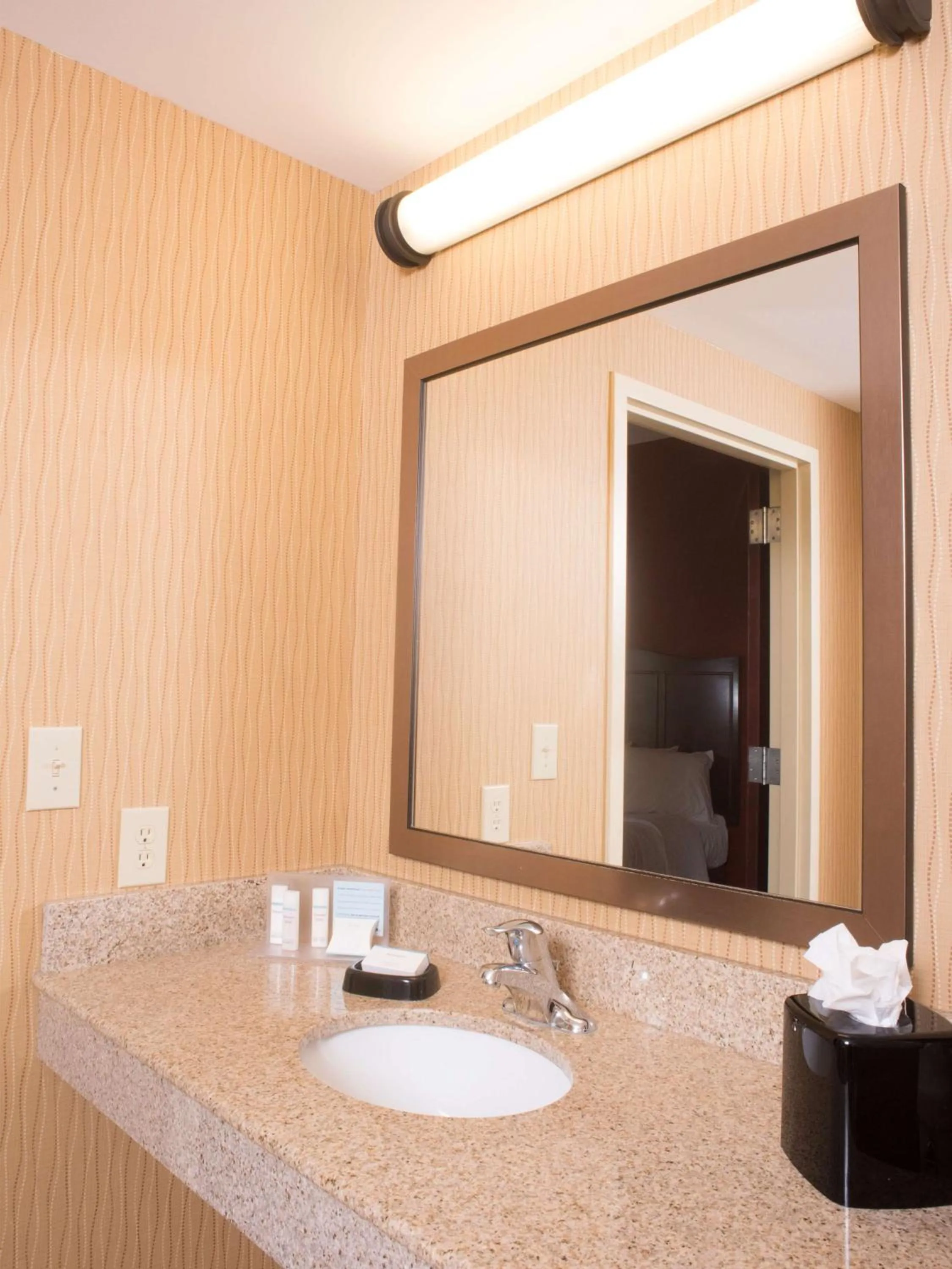 Bathroom in Hampton Inn and Suites Woodstock, Virginia