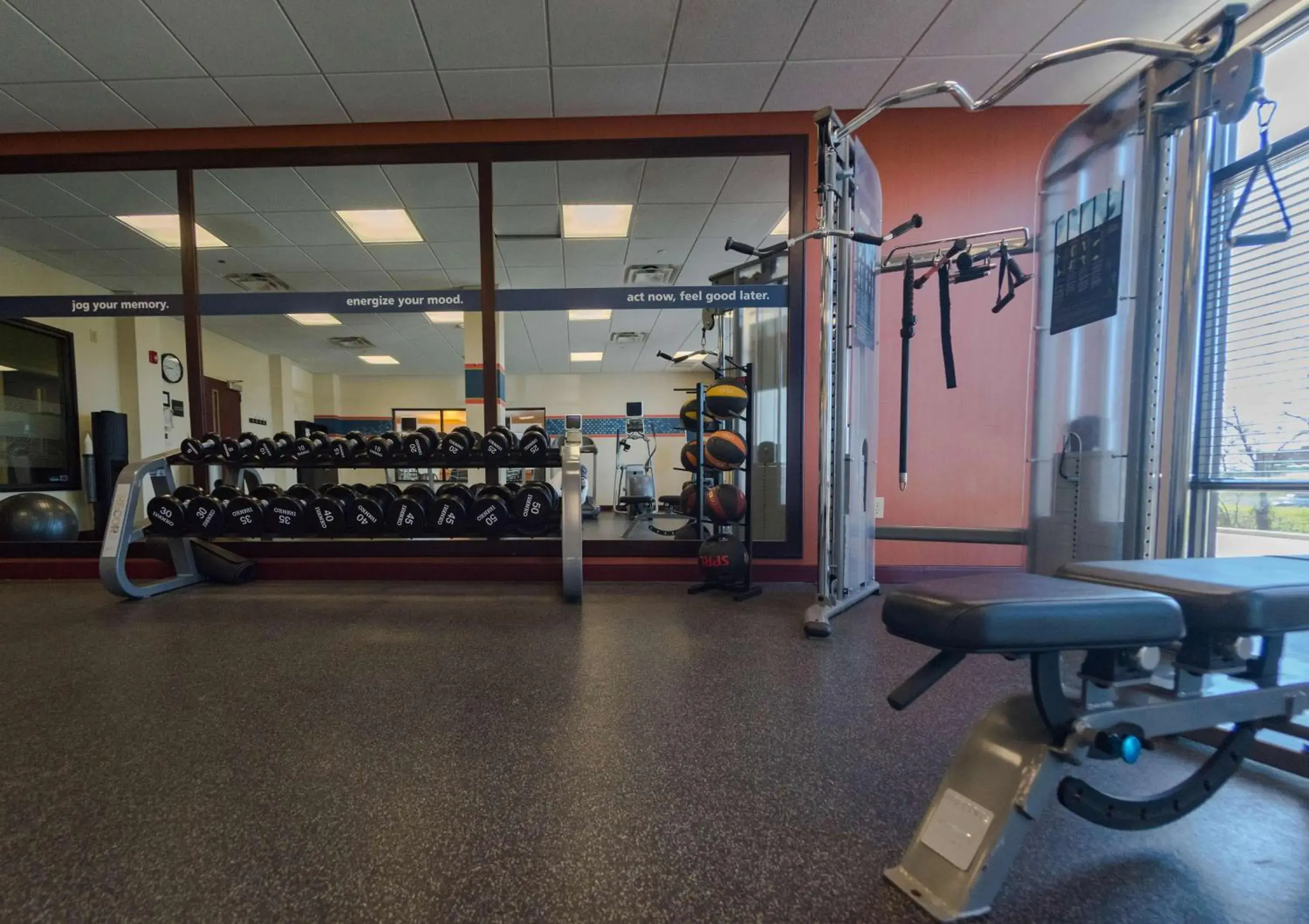 Fitness centre/facilities in Hampton Inn and Suites Woodstock, Virginia Fitness centre/facilities in Hampton Inn and Suites Woodstock, Virginia