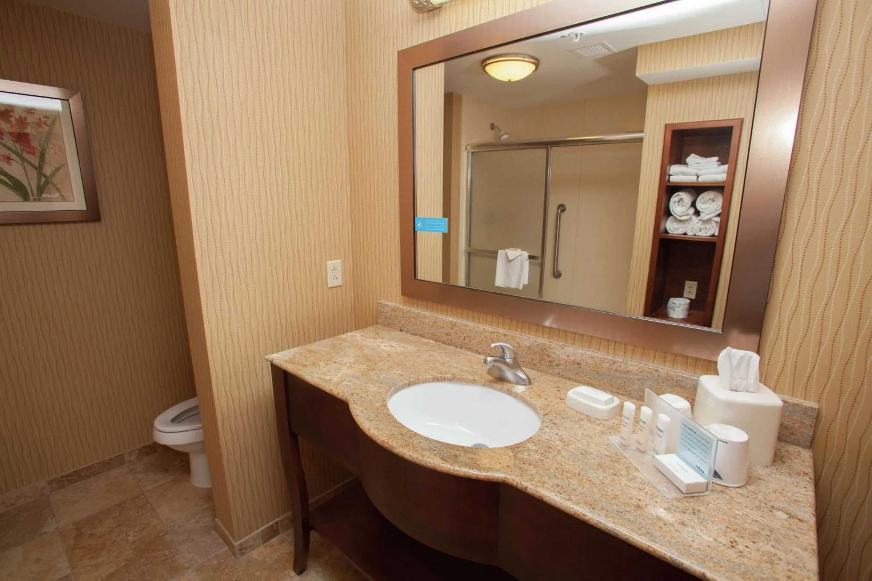 Bathroom in Hampton Inn Elmira/Horseheads