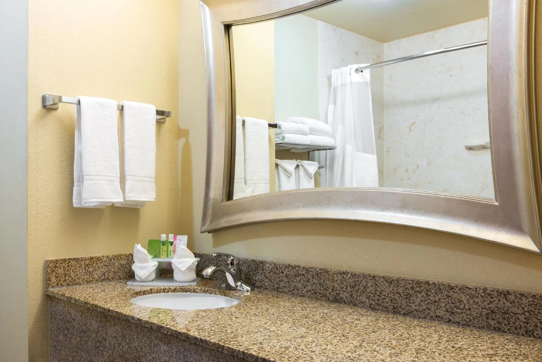 Bathroom in Holiday Inn Express & Suites Lexington Downtown Area-Keeneland by IHG