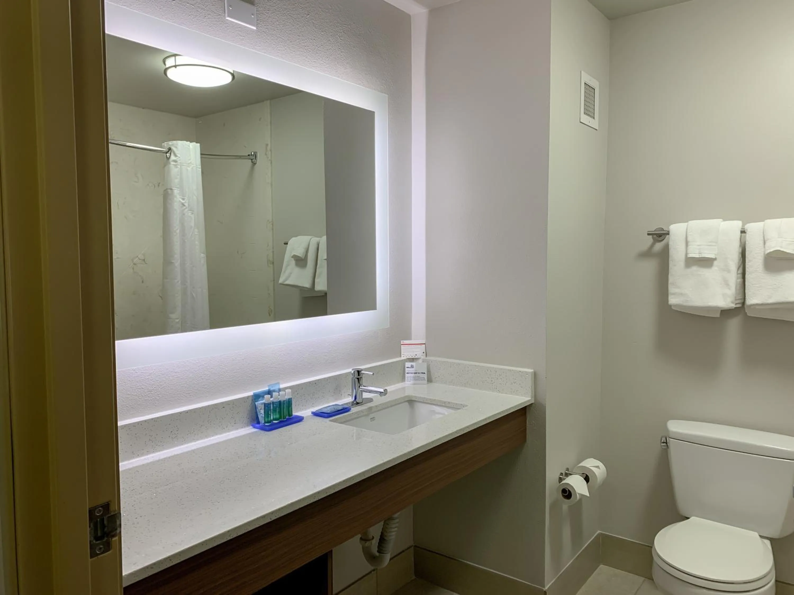 Bathroom in Holiday Inn Express & Suites Lexington Downtown Area-Keeneland by IHG