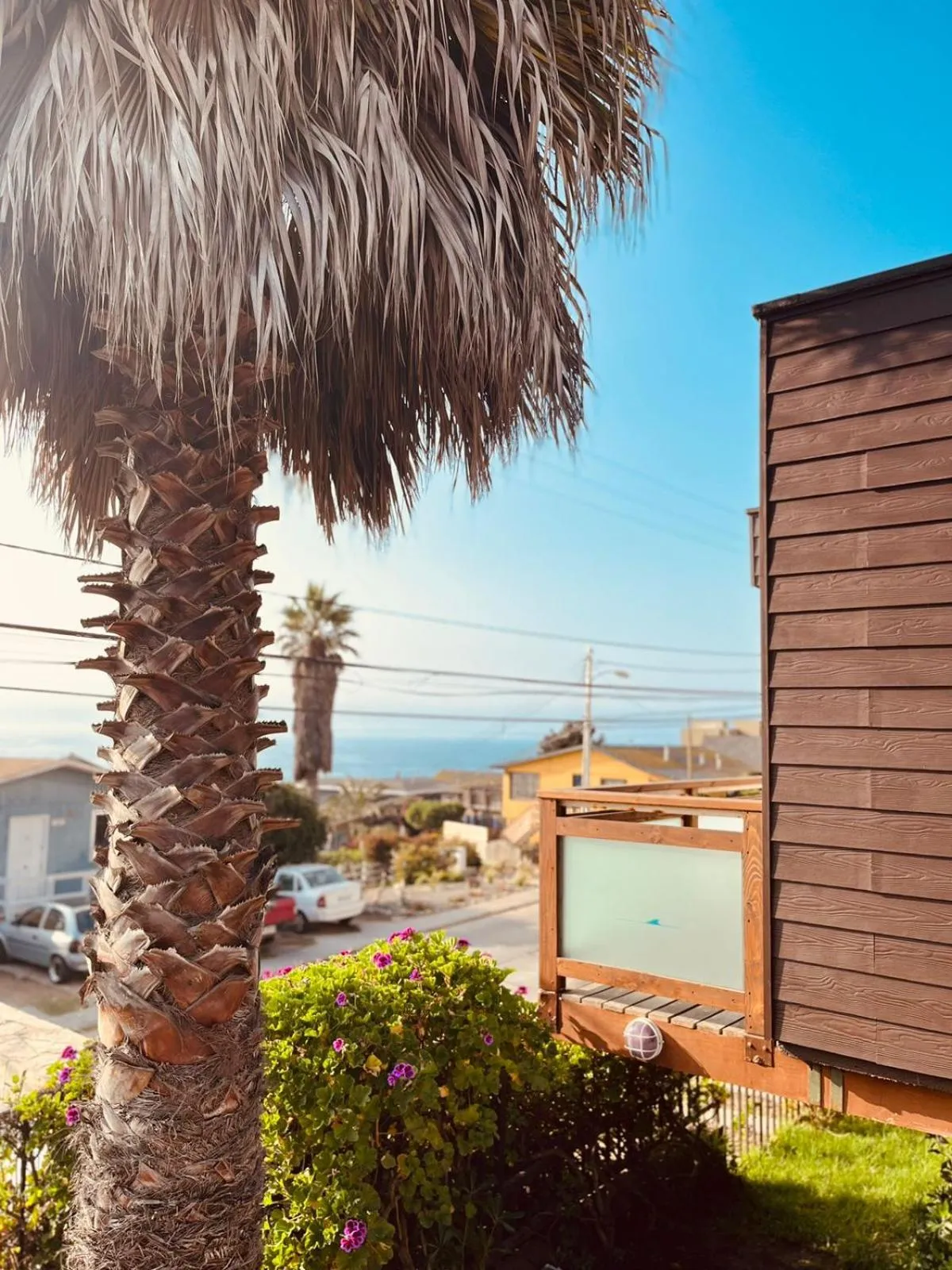 Property building in Blumen Hotel