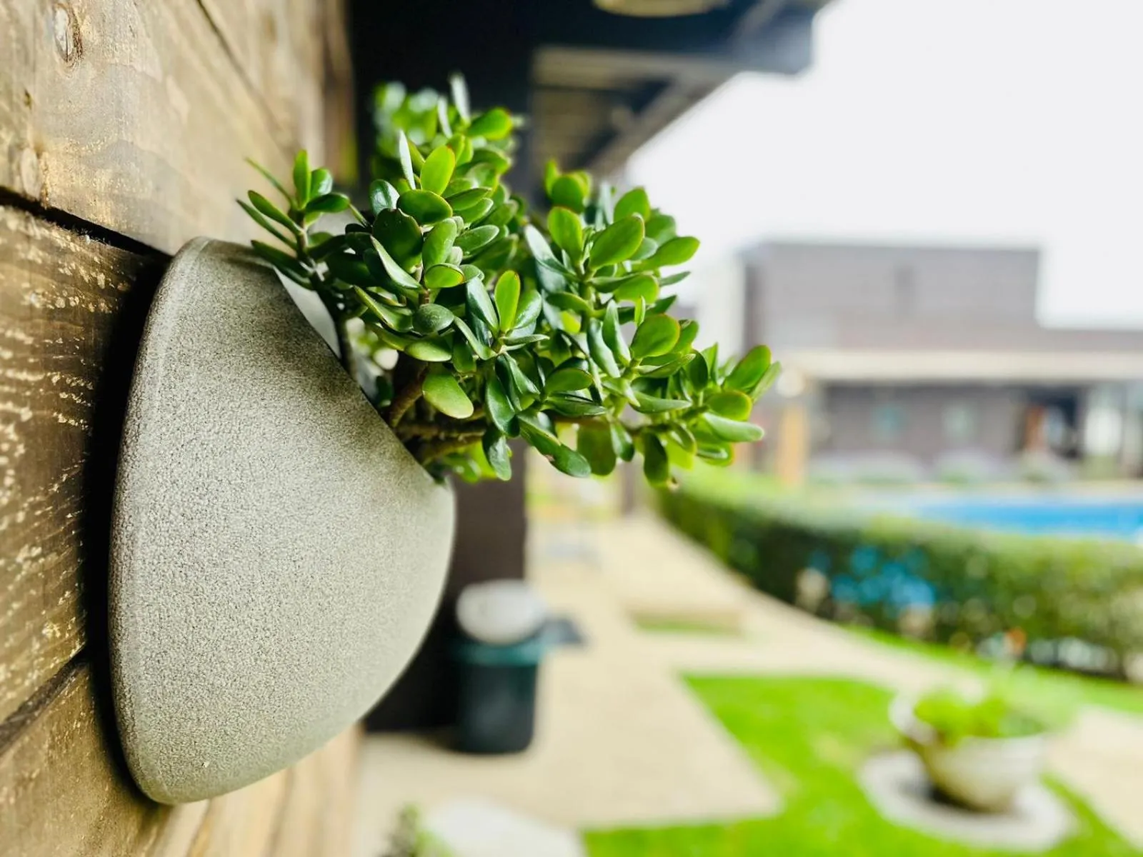 Patio in Blumen Hotel