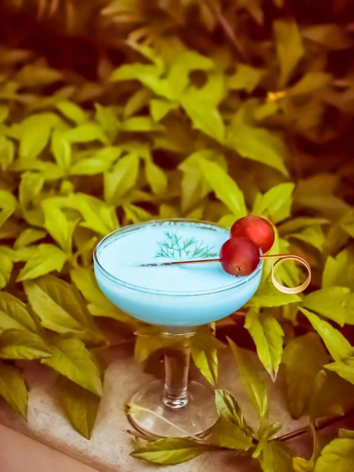 Drinks in Lemon Tree Hotel Electronics City