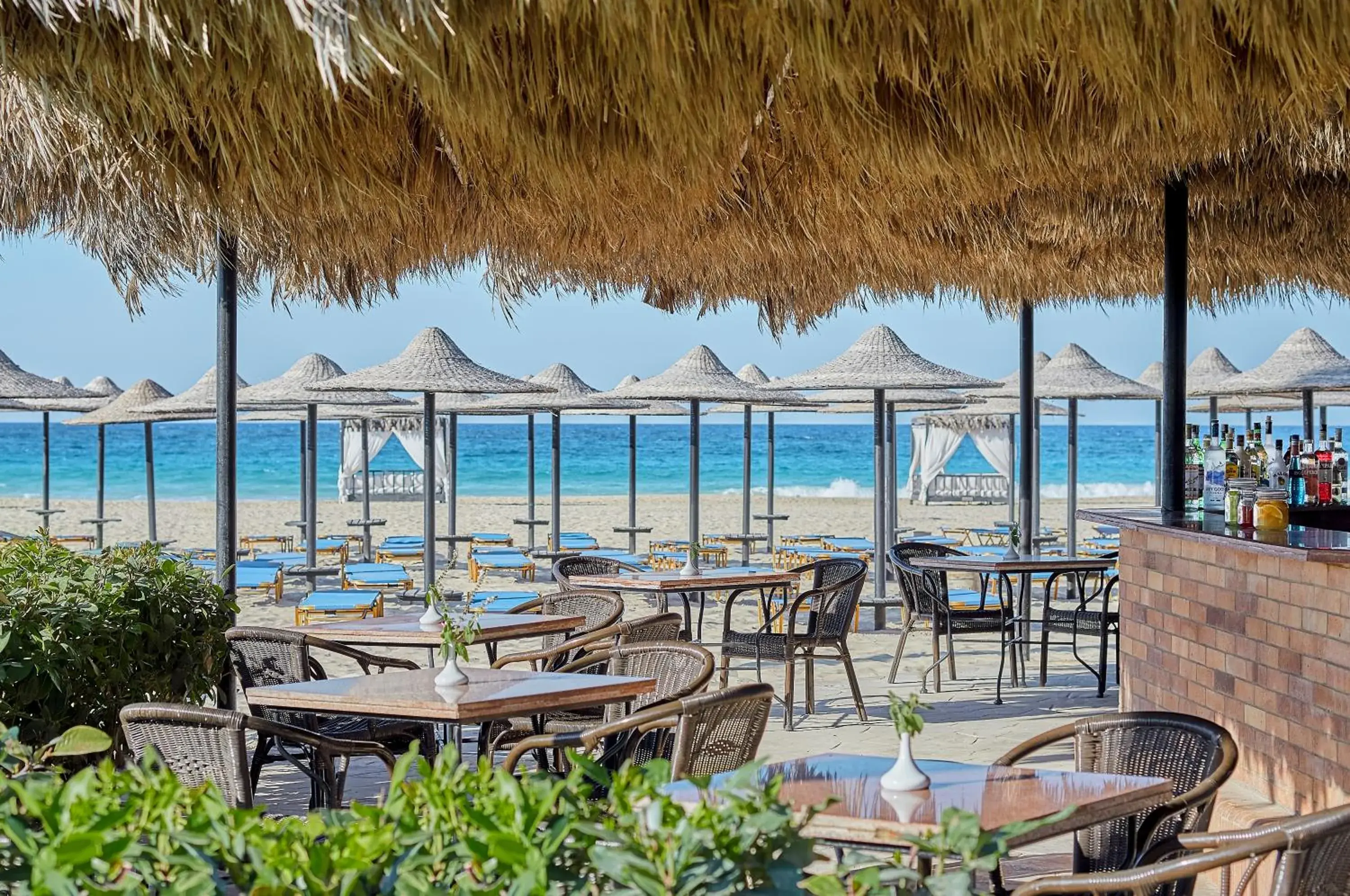 Restaurant/places to eat in JAZ Almaza Beach Resort, Almaza Bay Restaurant/places to eat in JAZ Almaza Beach Resort, Almaza Bay