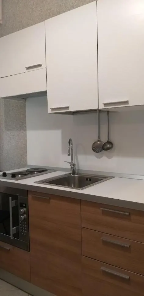 Kitchen or kitchenette in Hotel Villa Europa