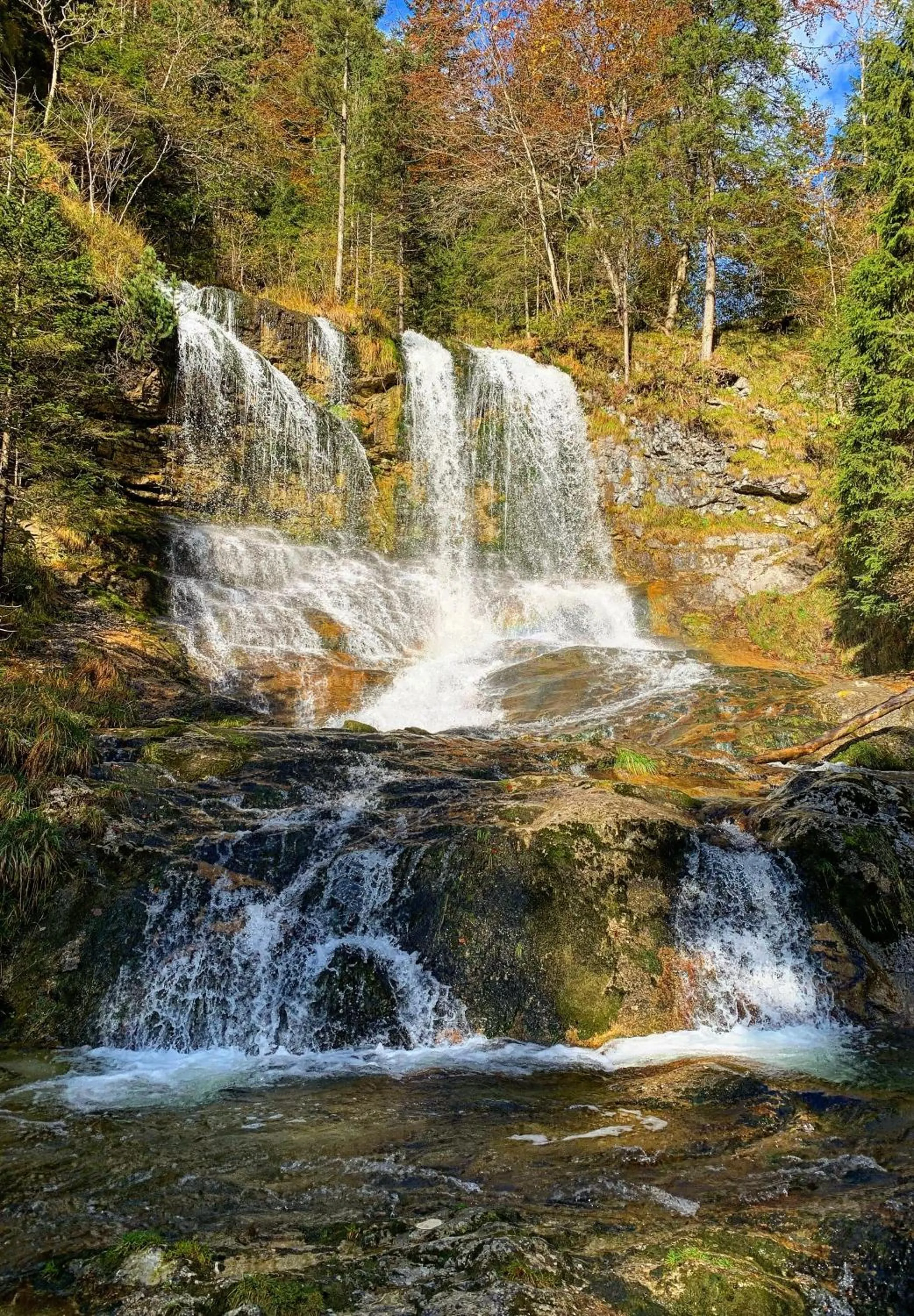 Natural landscape in Hardi's Hotel