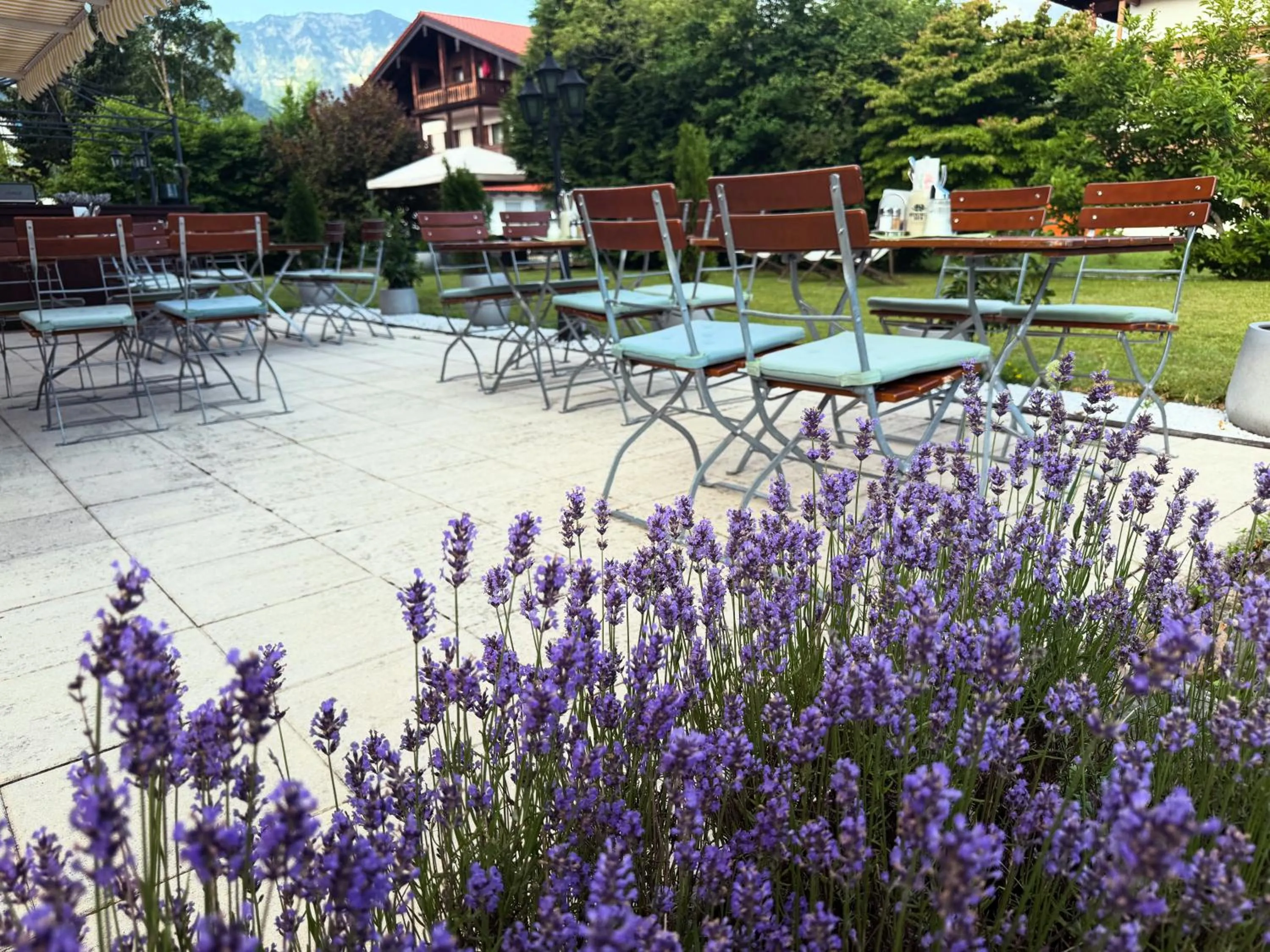 Spring in Hardi's Hotel