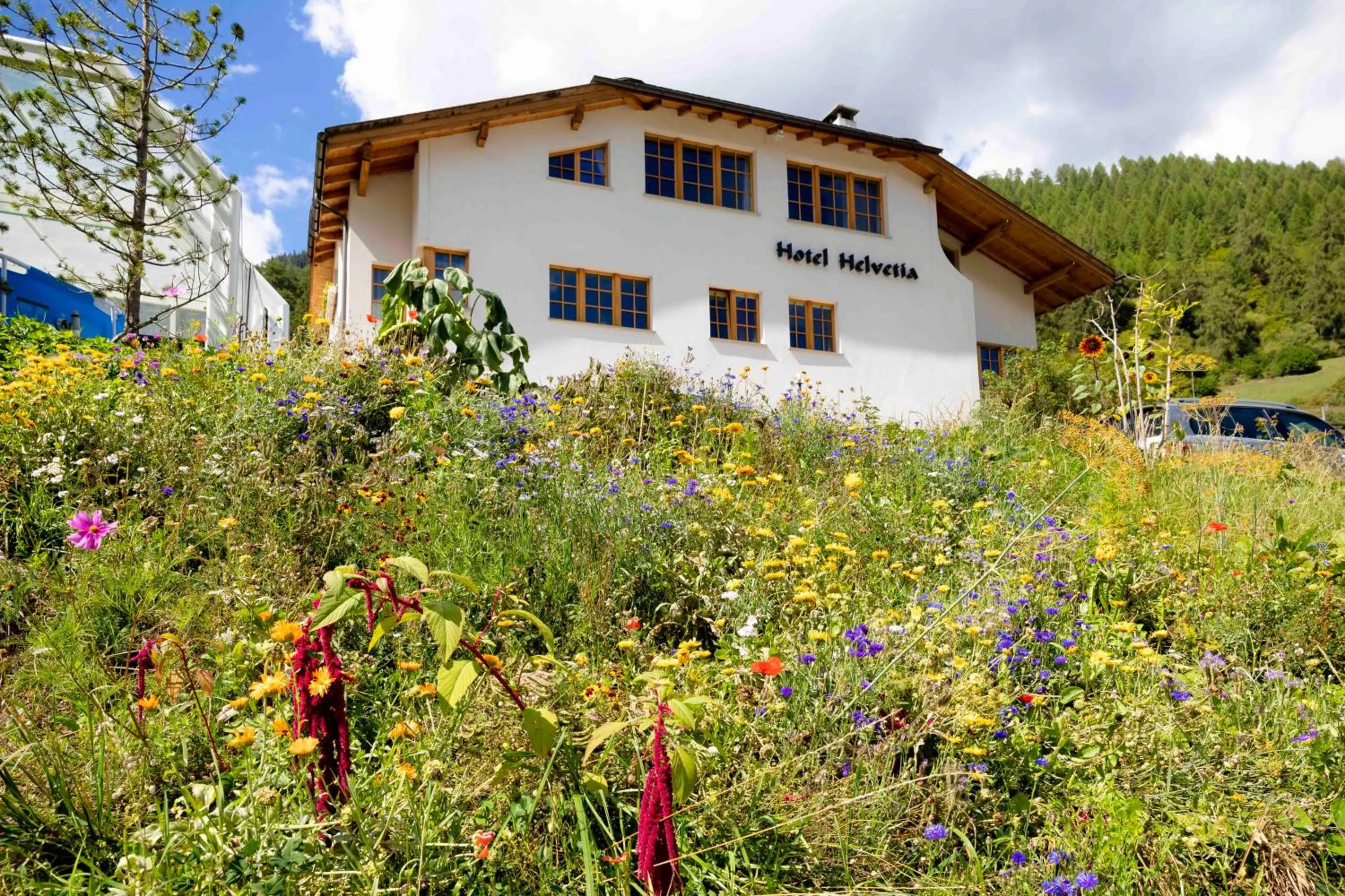 Property building in Hotel Helvetia