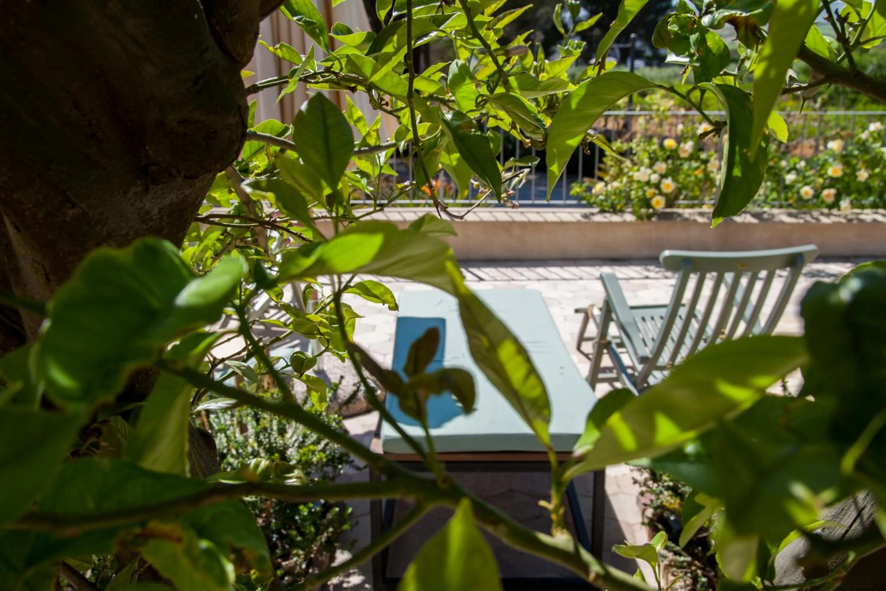 Swimming pool in Resort Fontes Episcopi