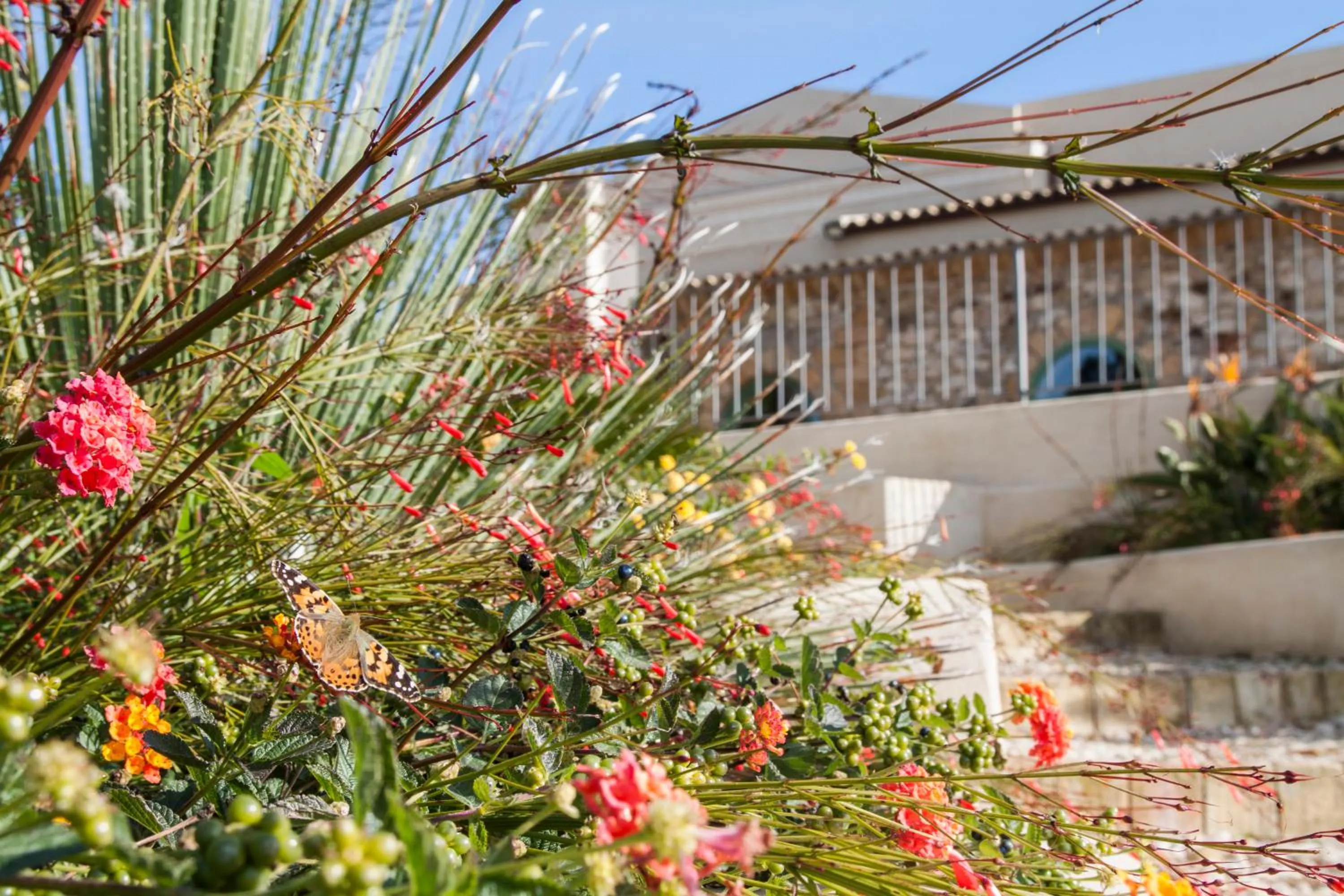 Property building in Resort Fontes Episcopi