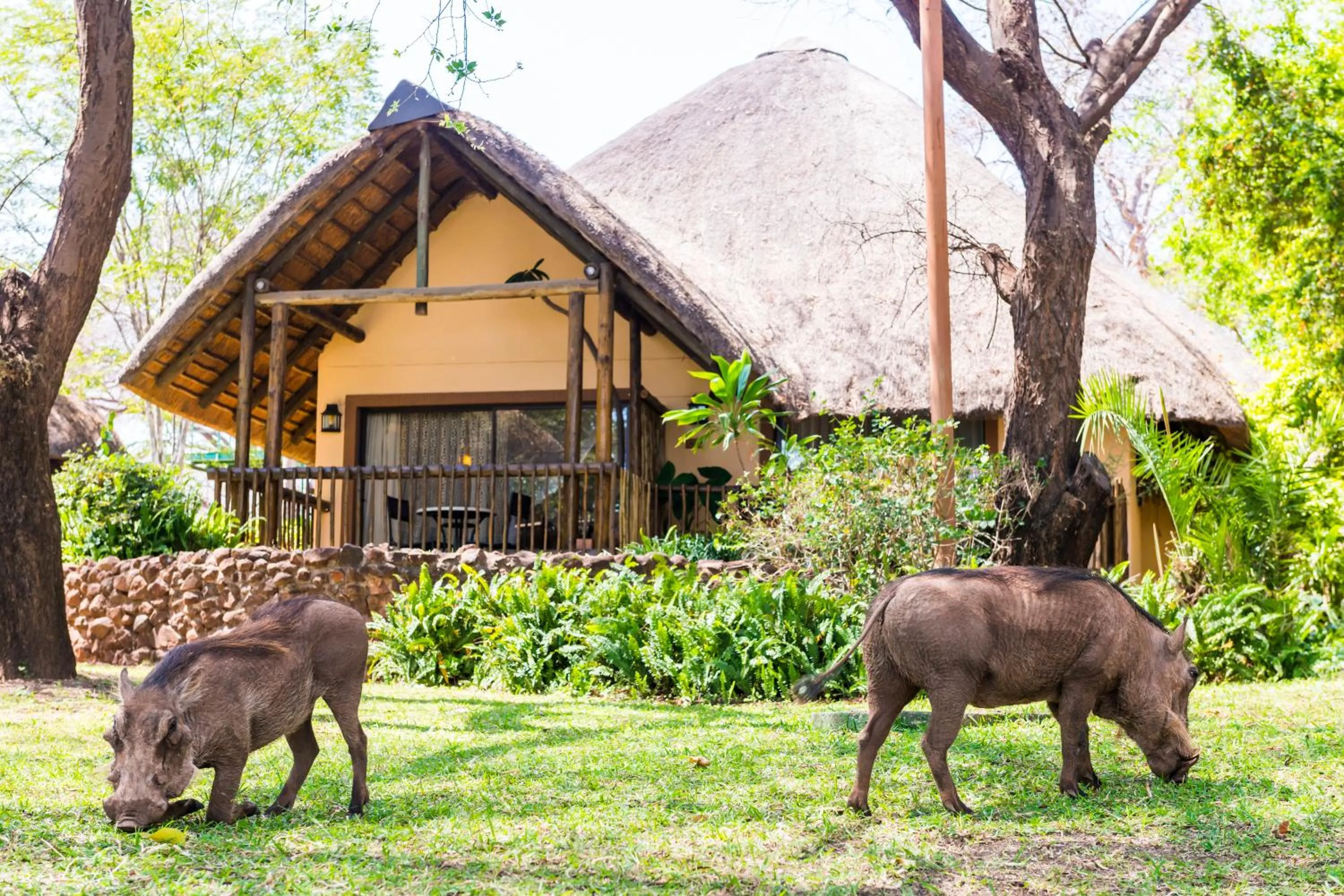Facade/entrance in Chobe Marina Lodge