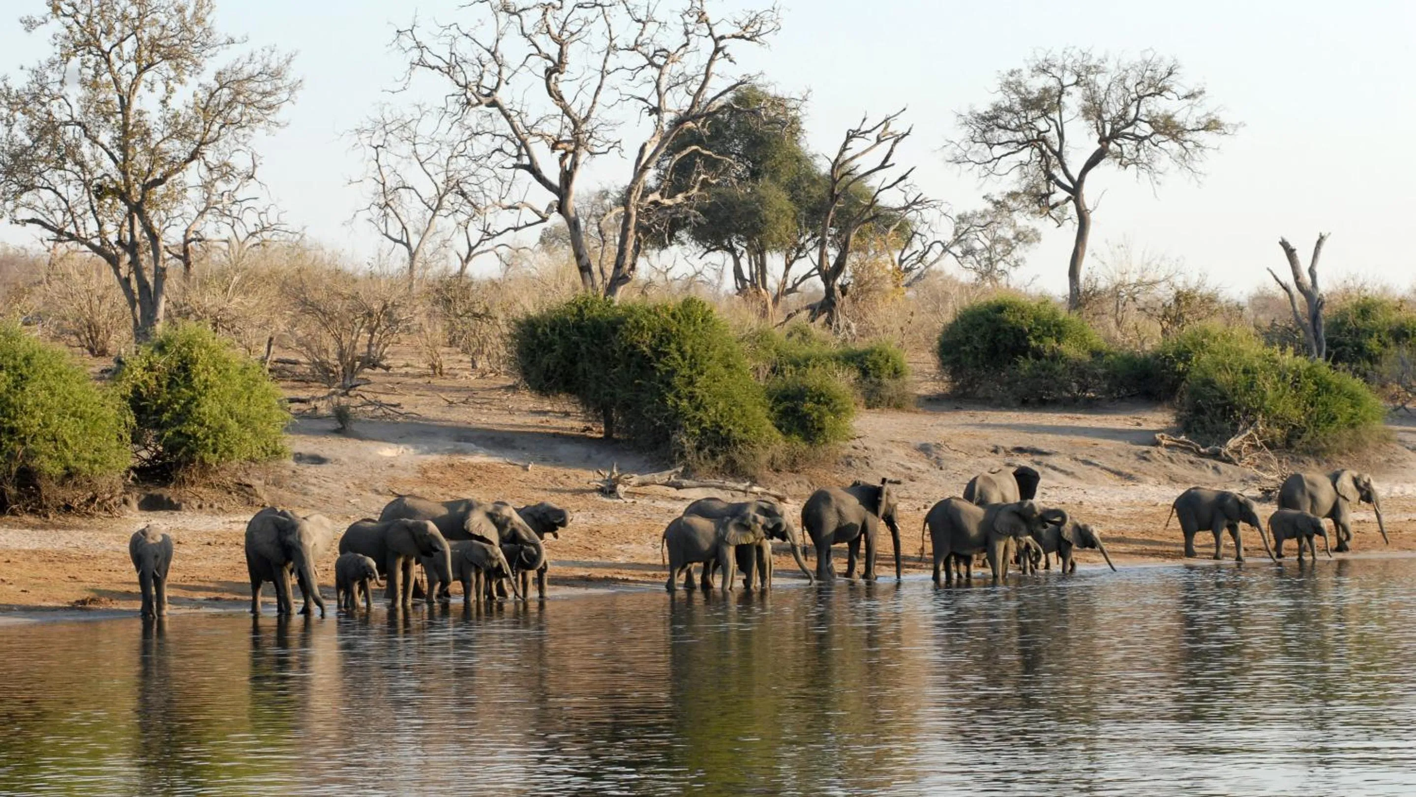 Activities in Chobe Marina Lodge