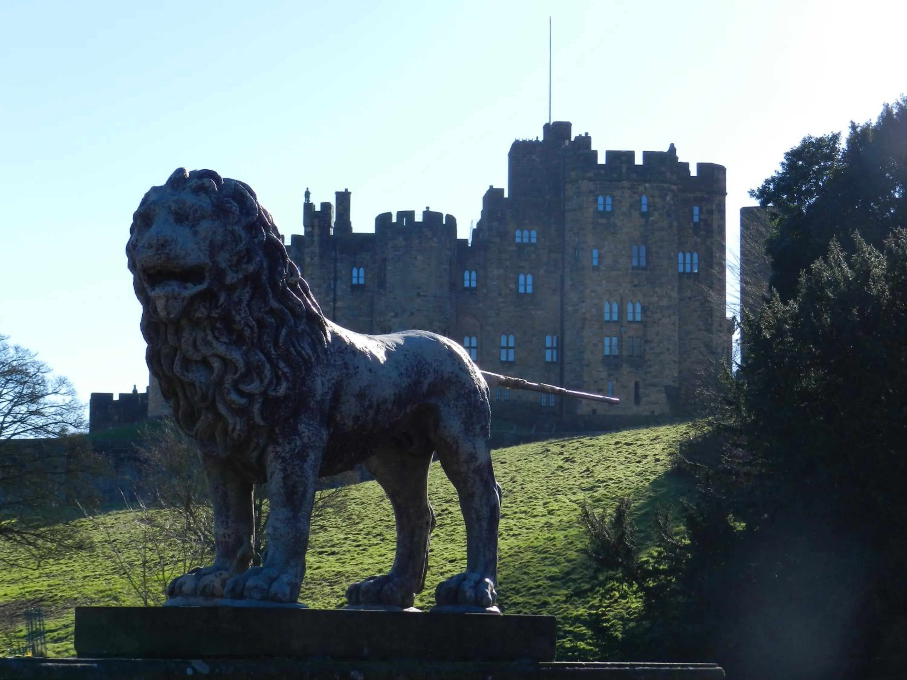 Day in White Swan Inn