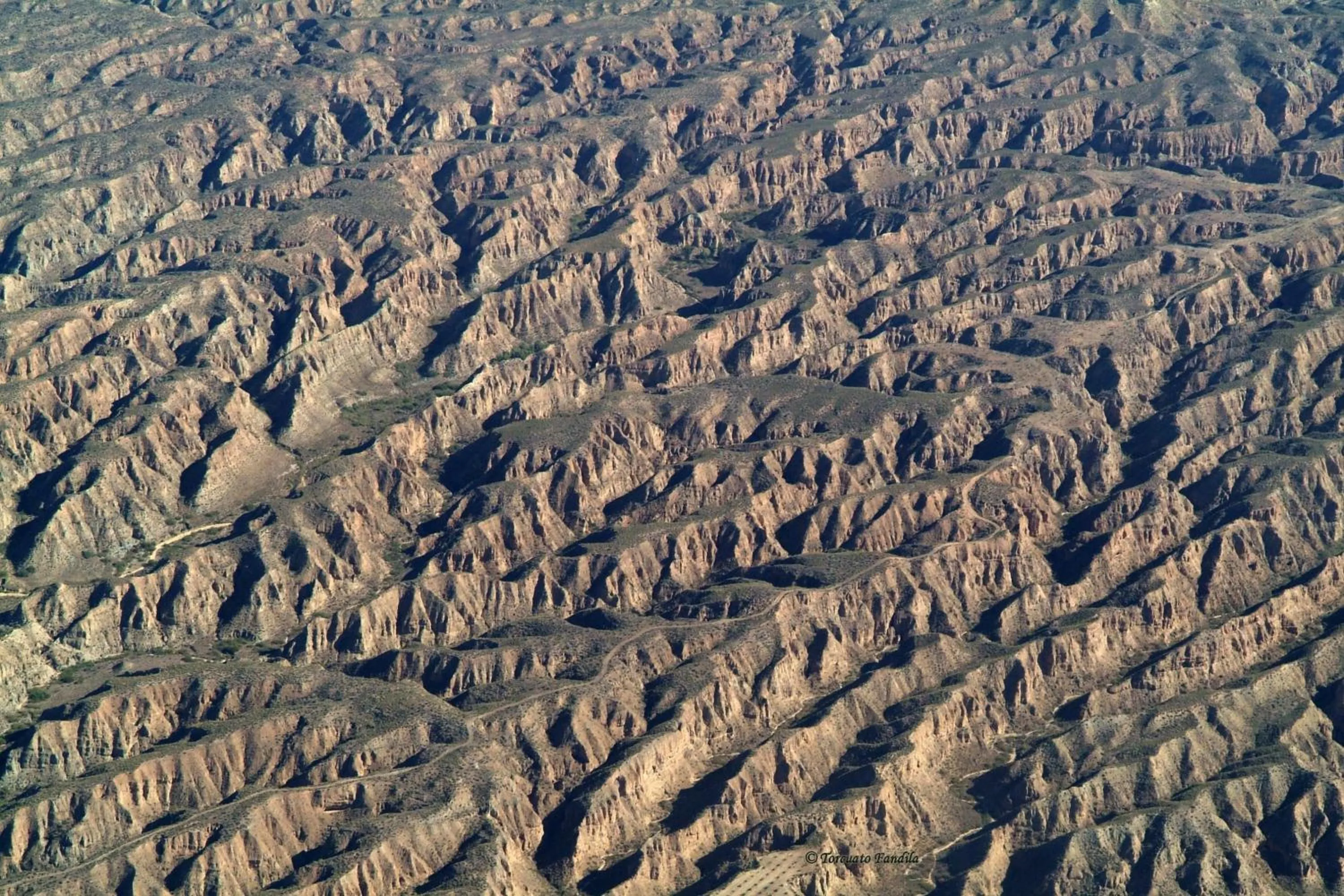 Area and facilities in Hotel Mulhacen