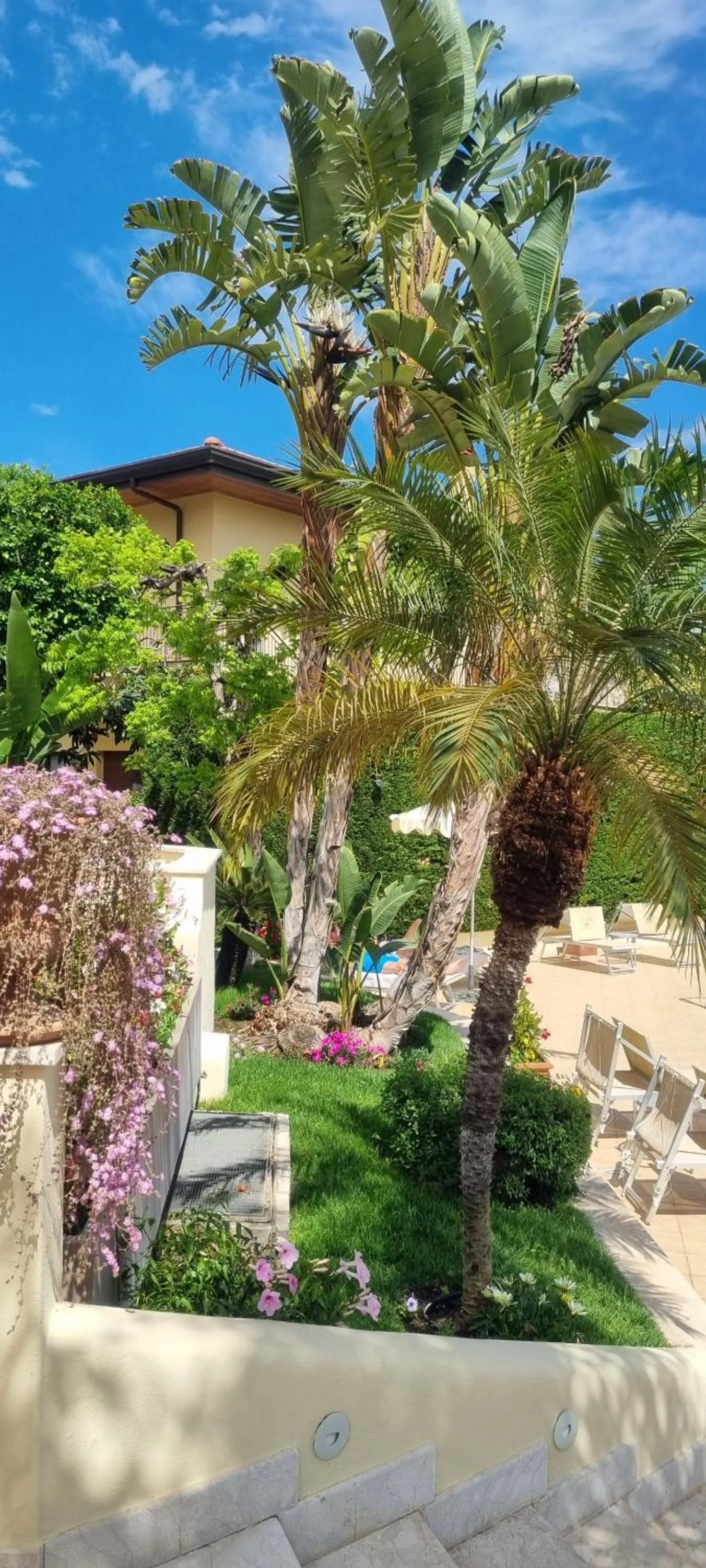 Garden in Villa Daphne