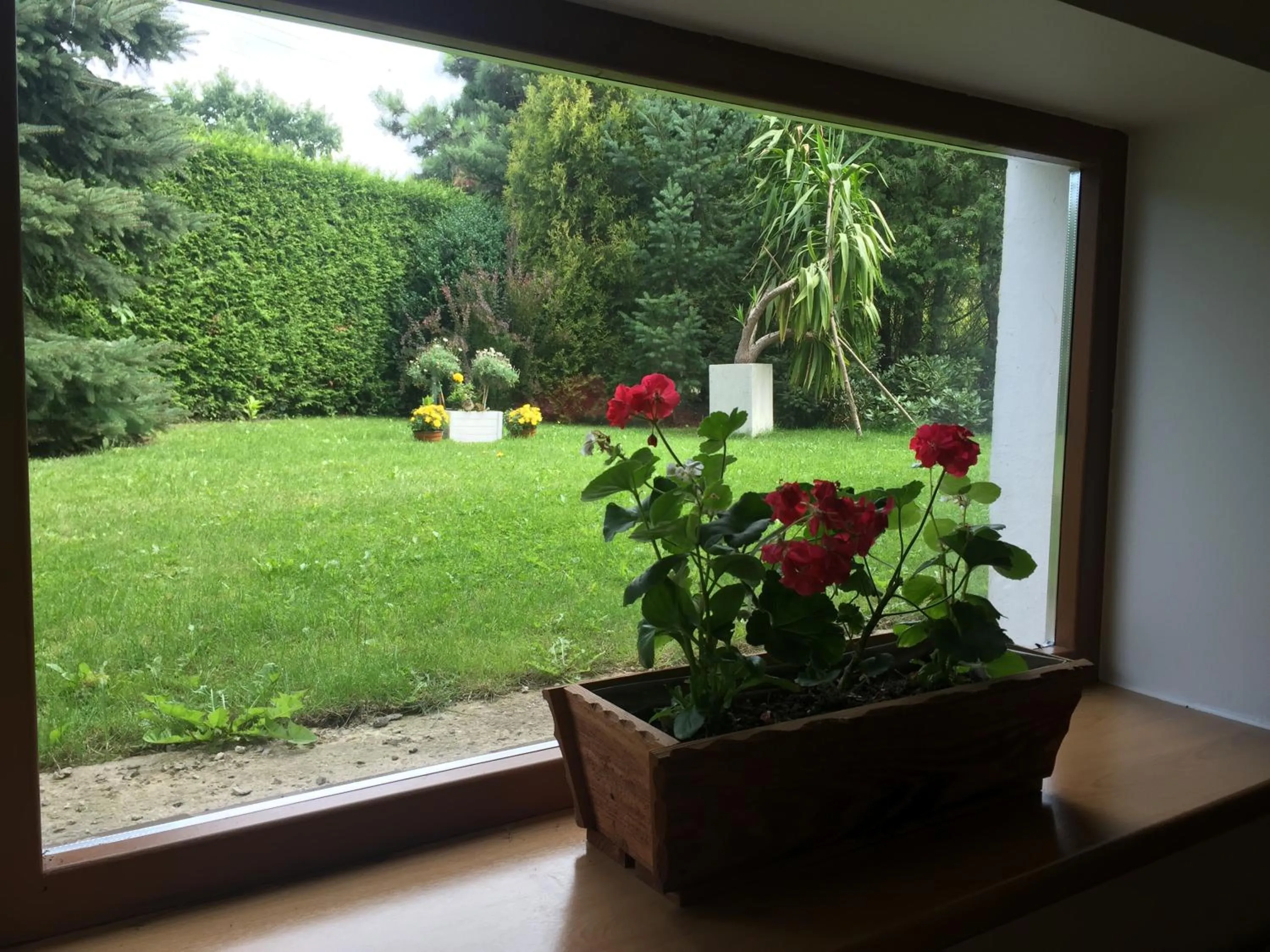 Garden view in Panorama BH