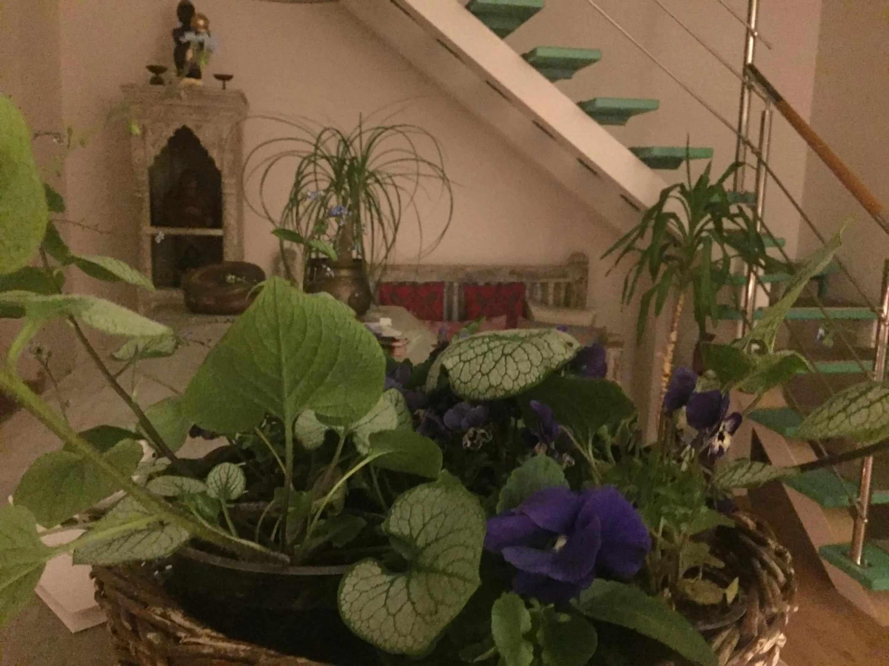 Lobby or reception in Panorama BH