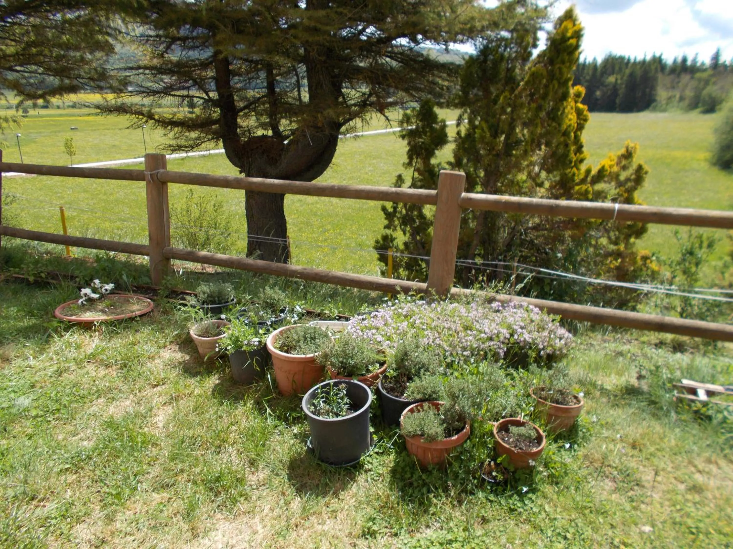 Day in Hotel Holidays