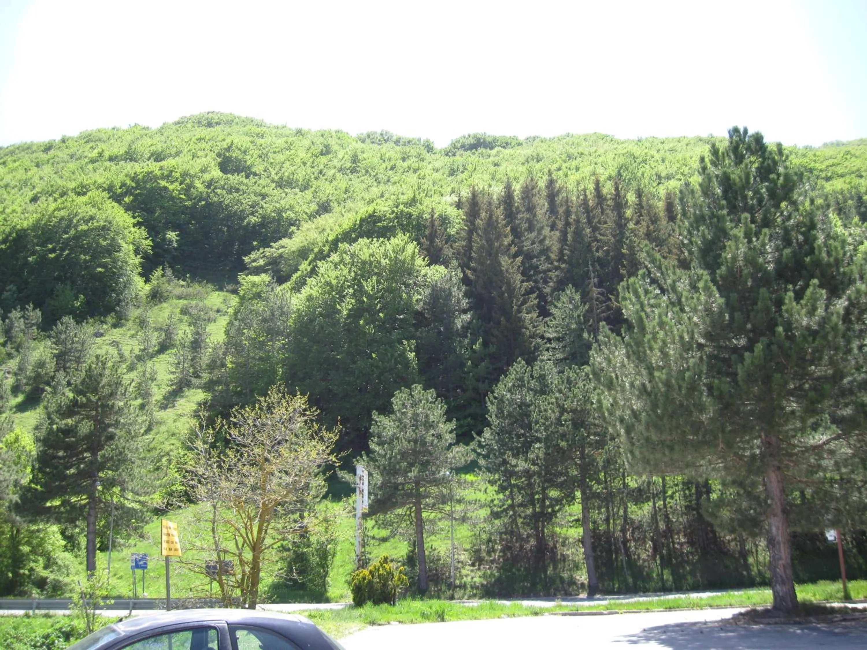 Bird's eye view in Hotel Holidays