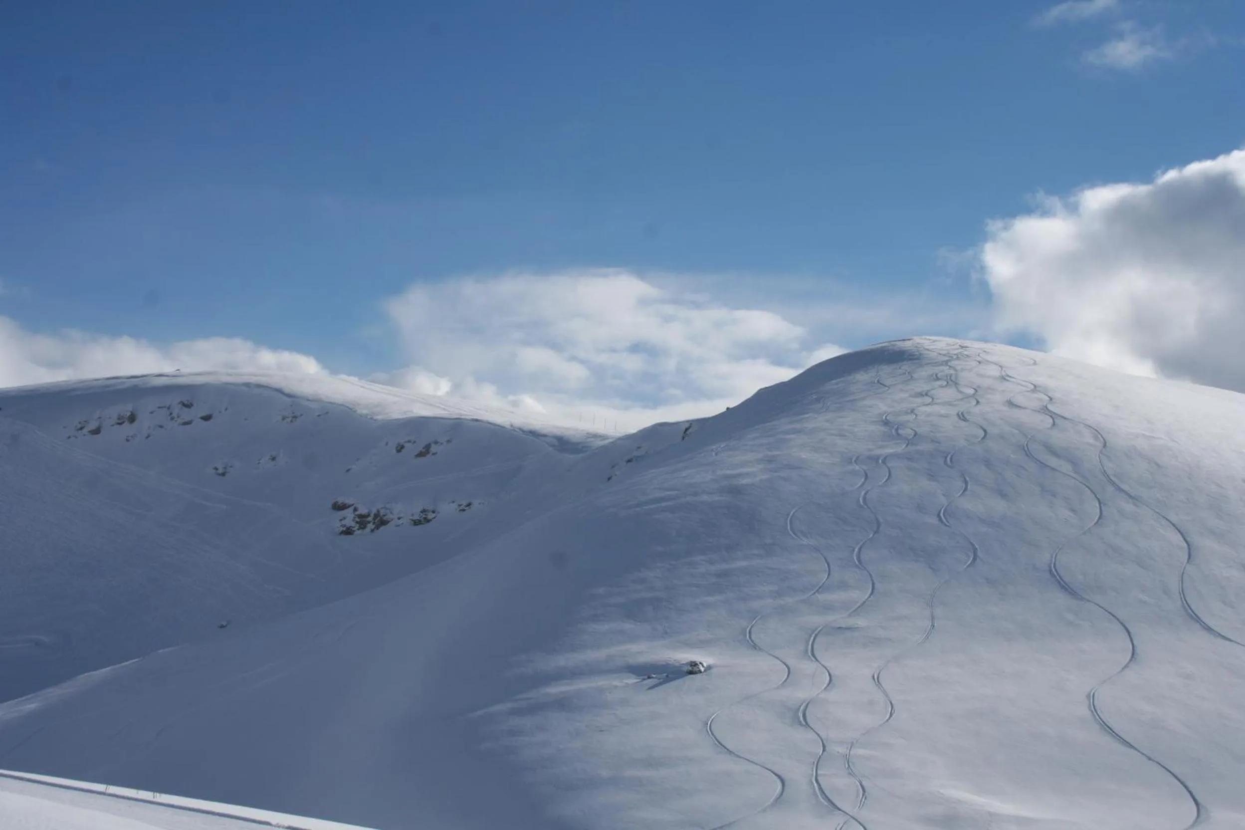 Nearby landmark in Hotel Holidays