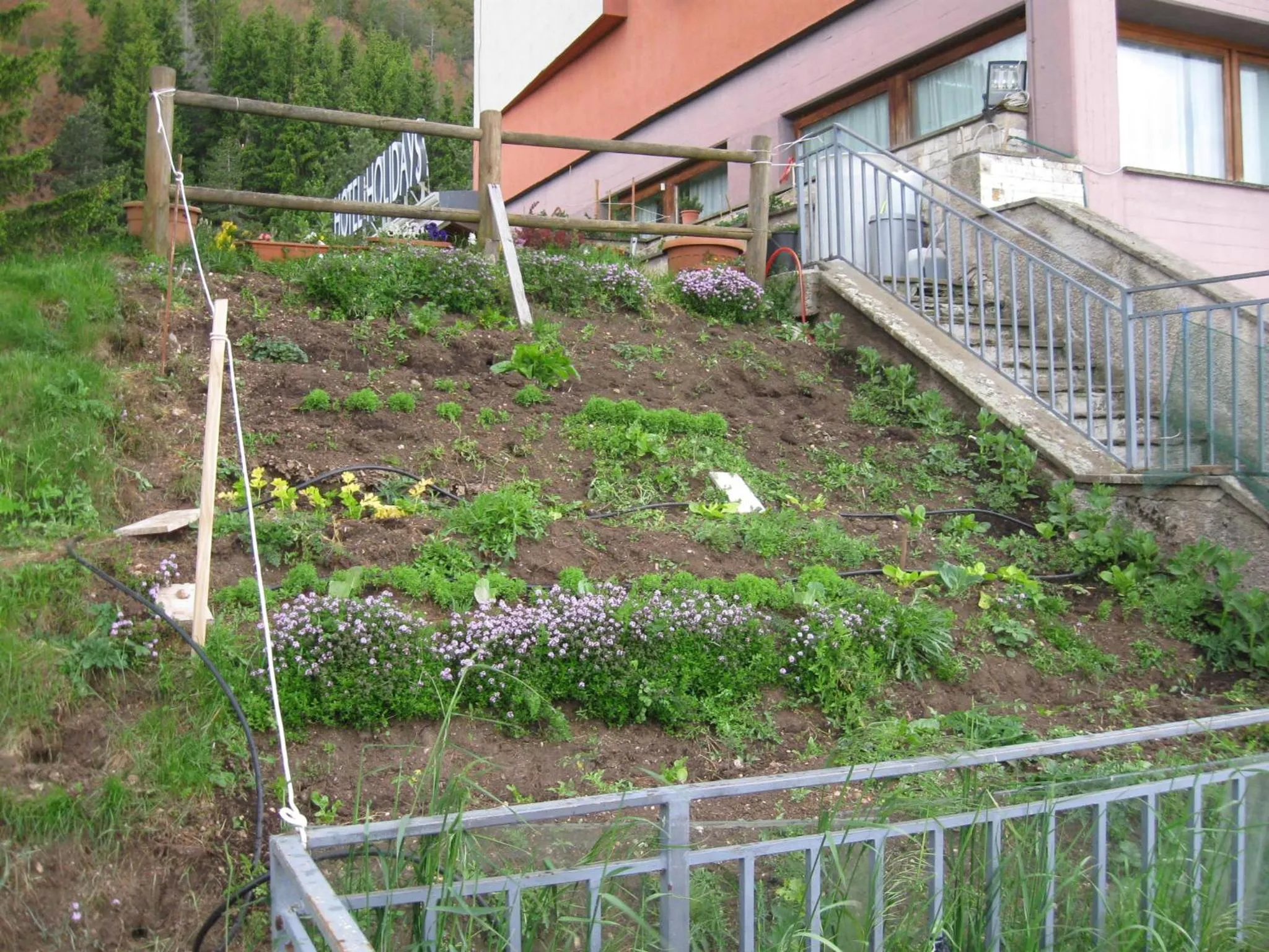 Spring in Hotel Holidays