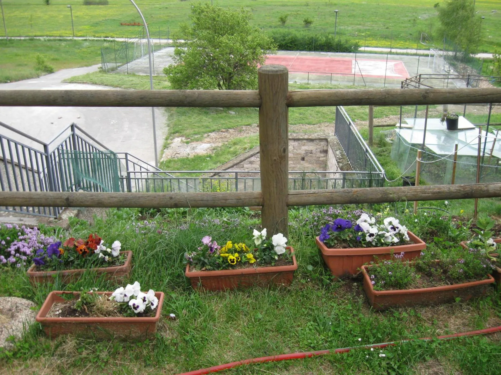 Garden view in Hotel Holidays