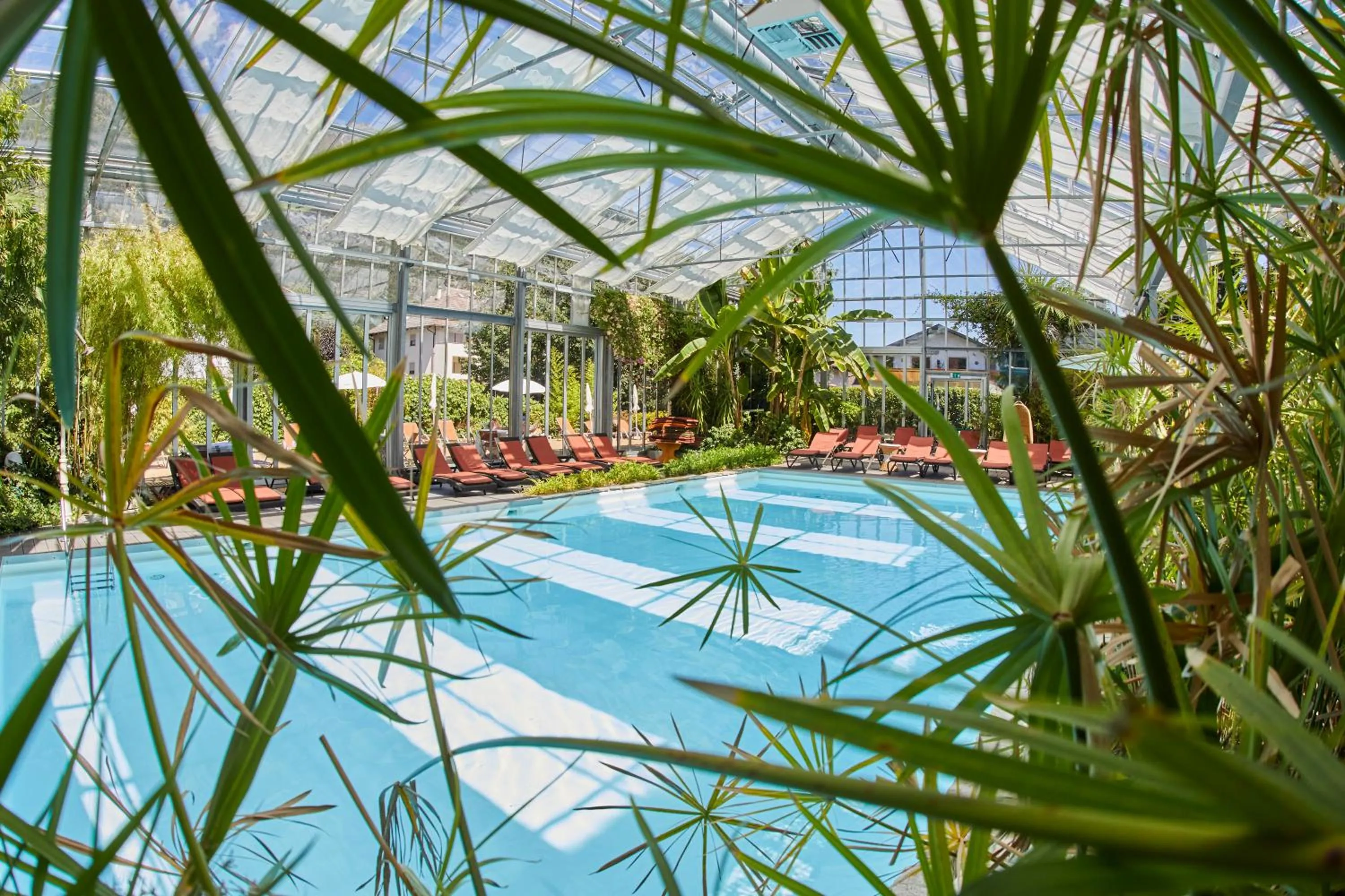 Swimming pool in Hotel Bamboo
