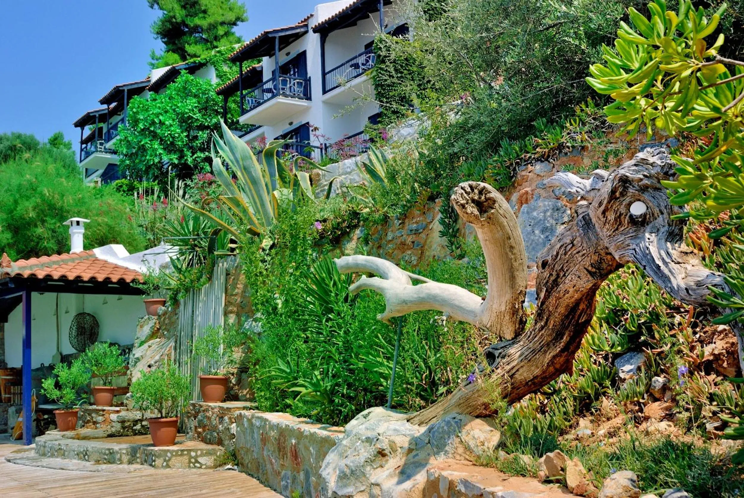 Garden in Adrina Beach Hotel