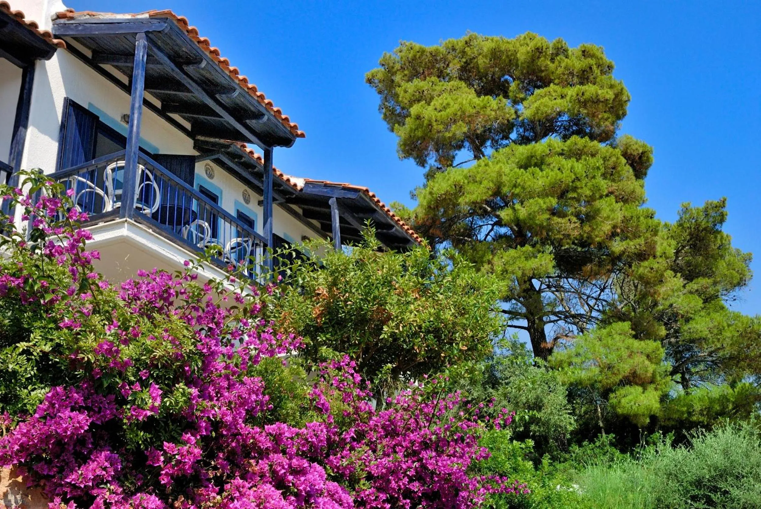 Facade/entrance in Adrina Beach Hotel