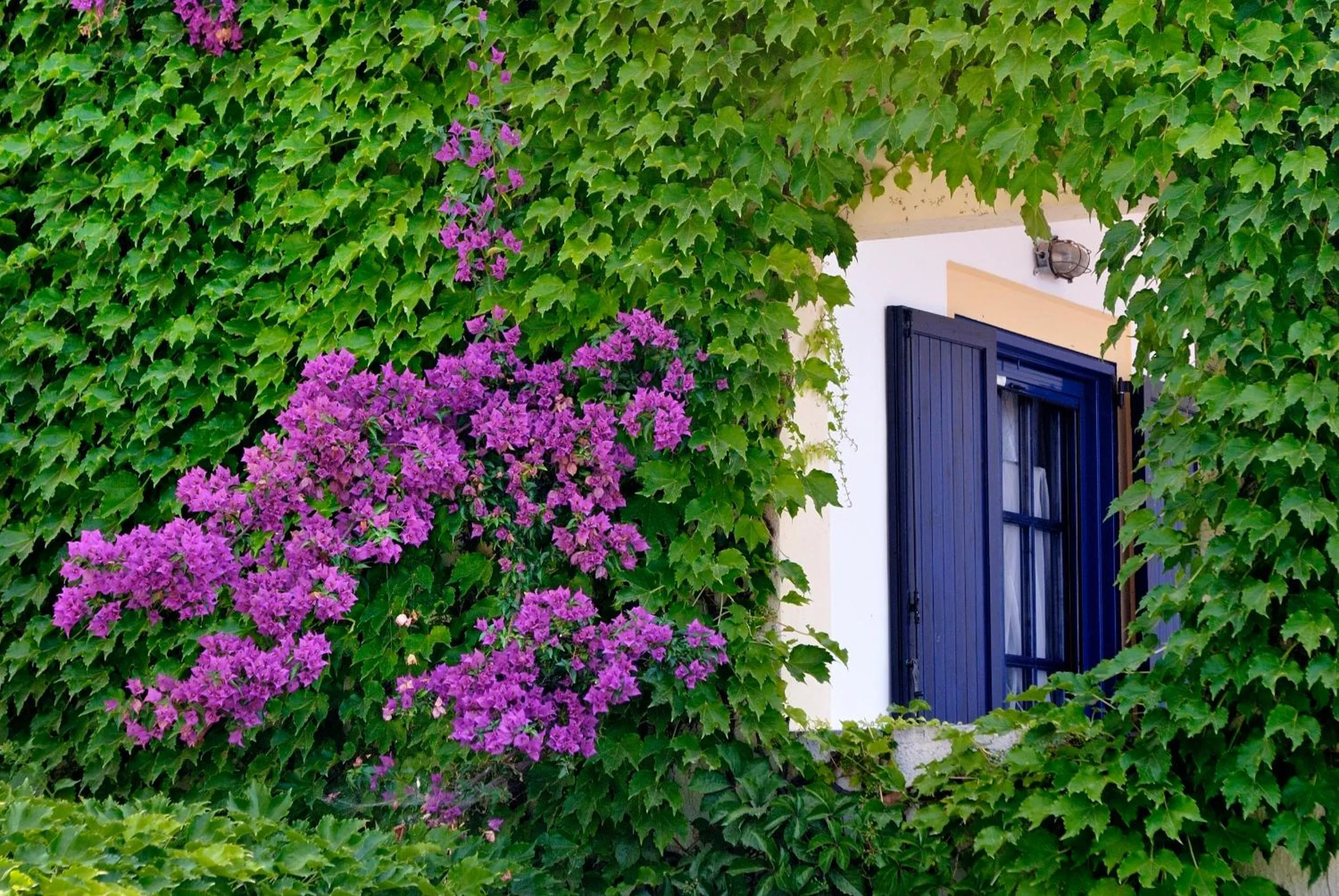 Other in Adrina Beach Hotel