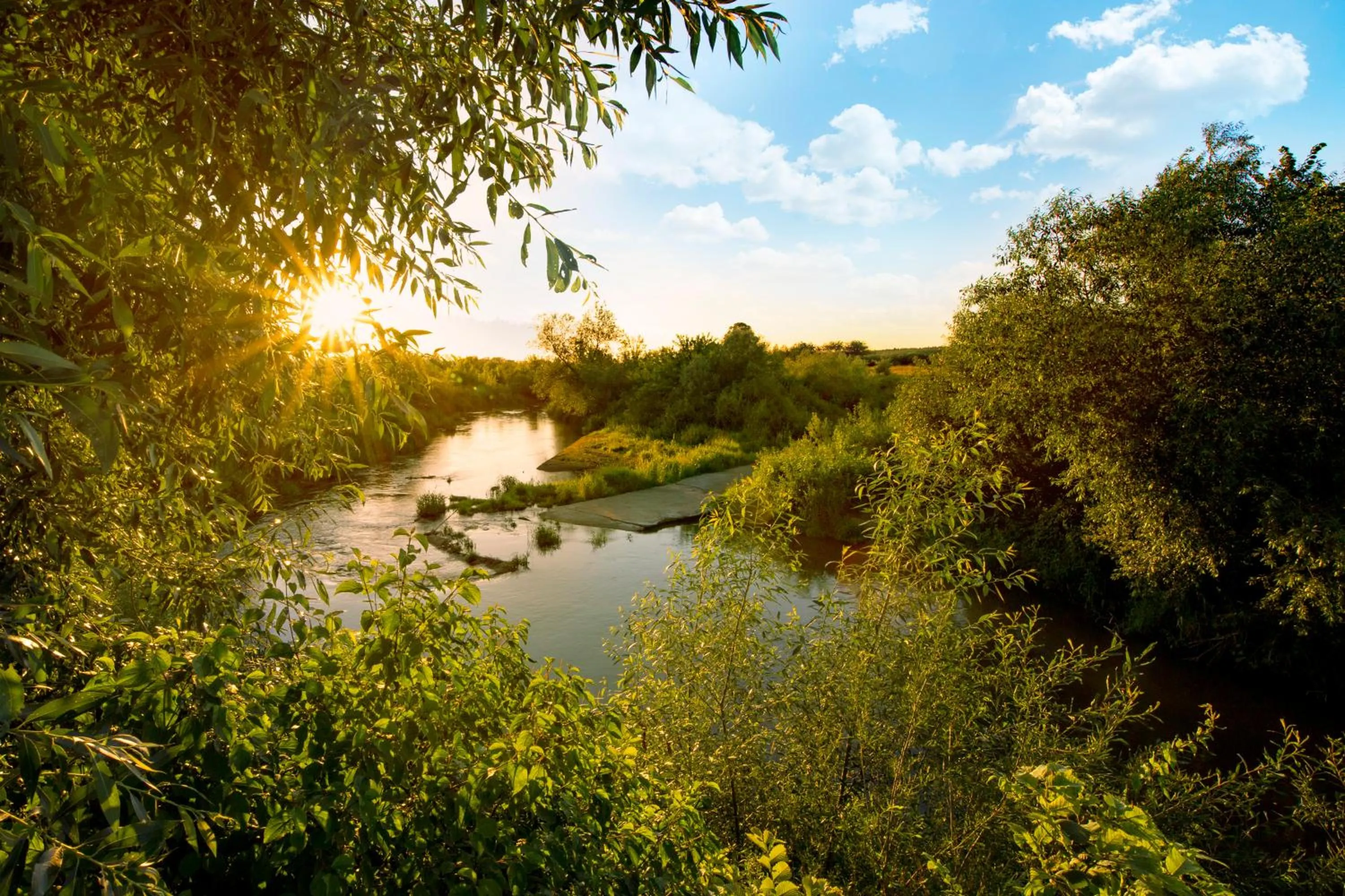 Neighbourhood in Zielona Przystań