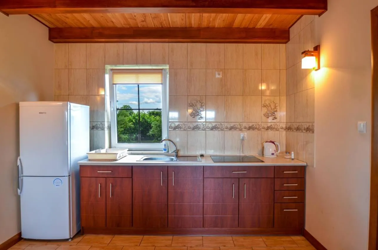Kitchen or kitchenette in Zielona Przystań